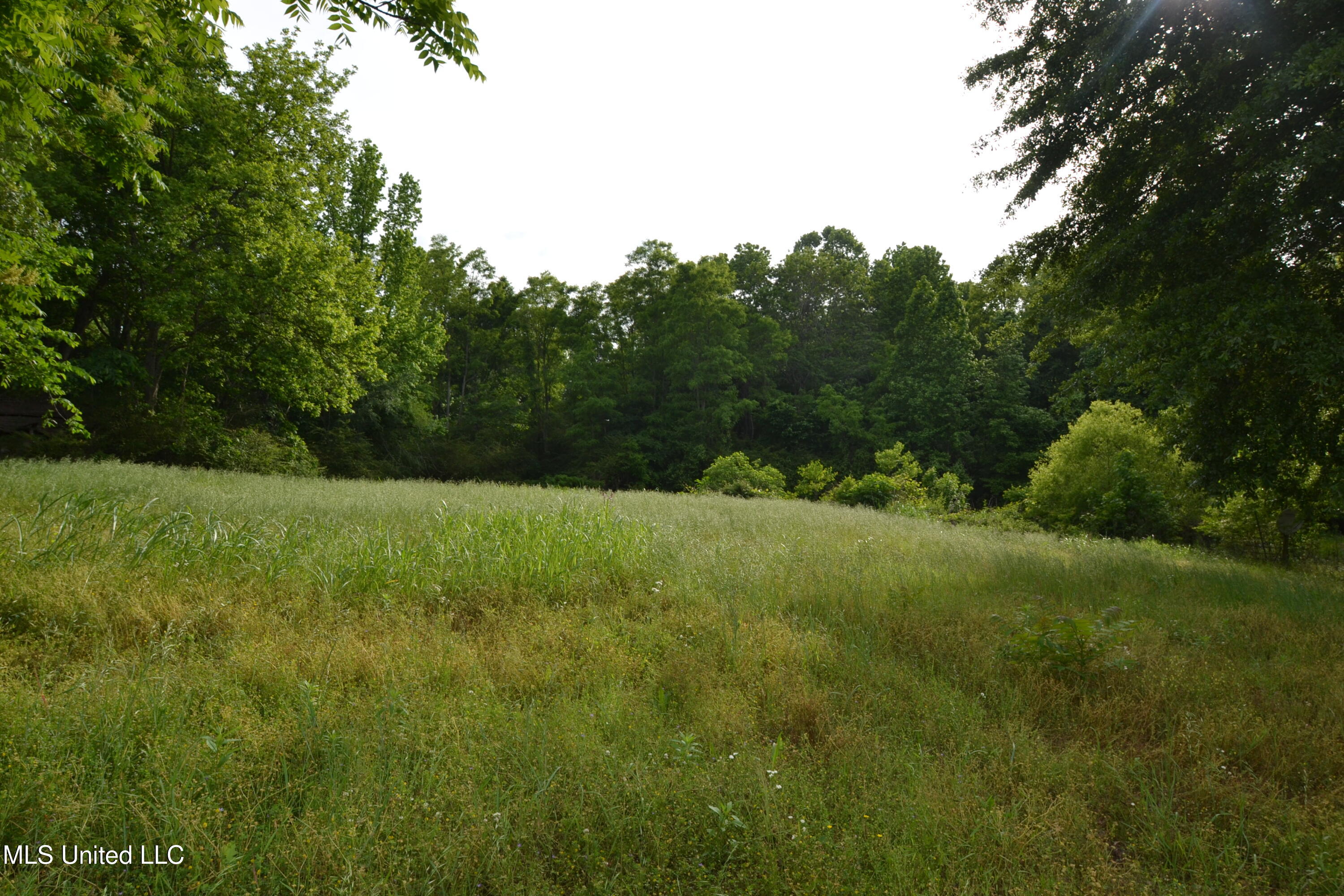 443 Highway 305 N Property Photo 5