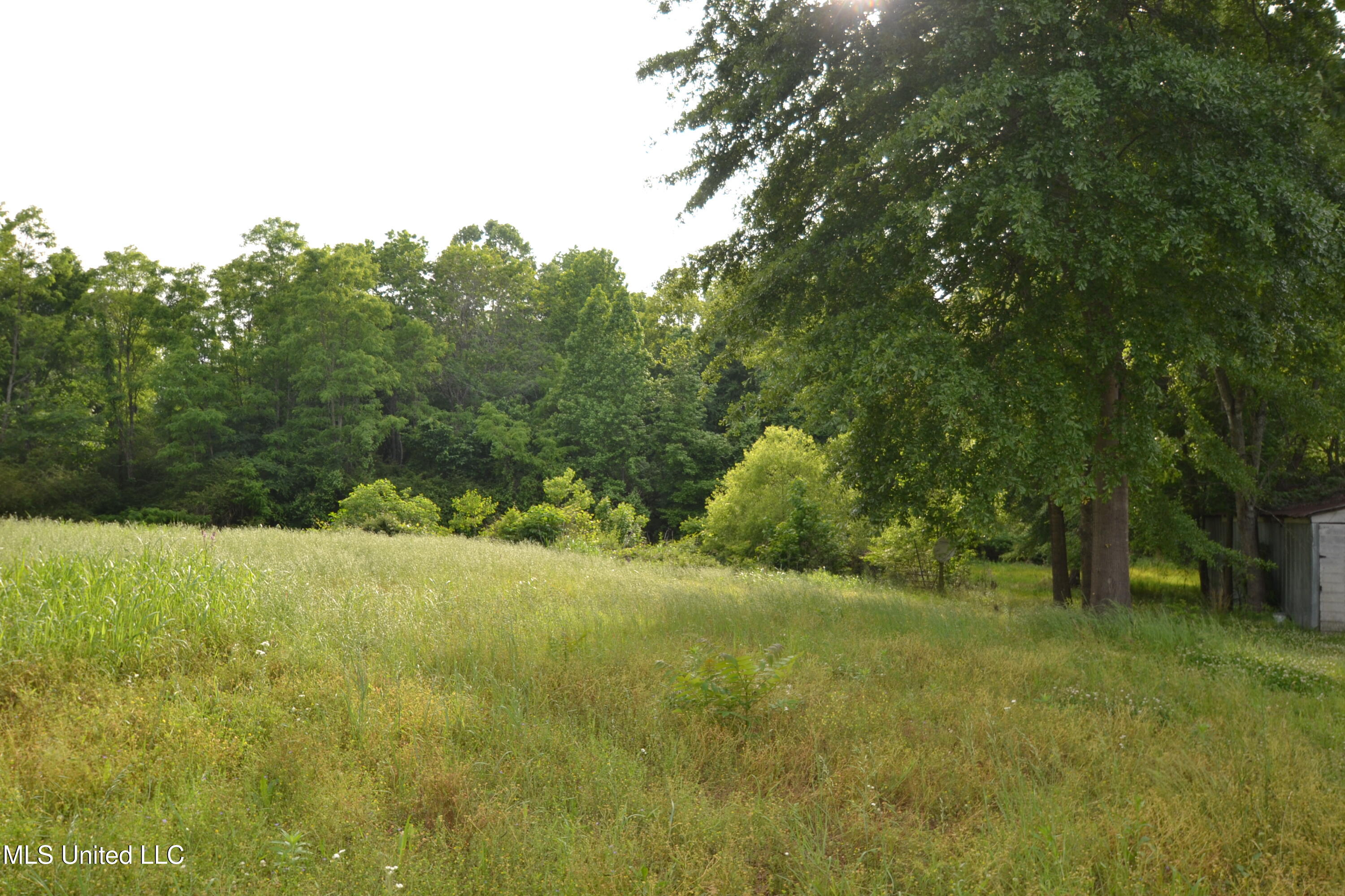 443 Highway 305 N Property Photo 7