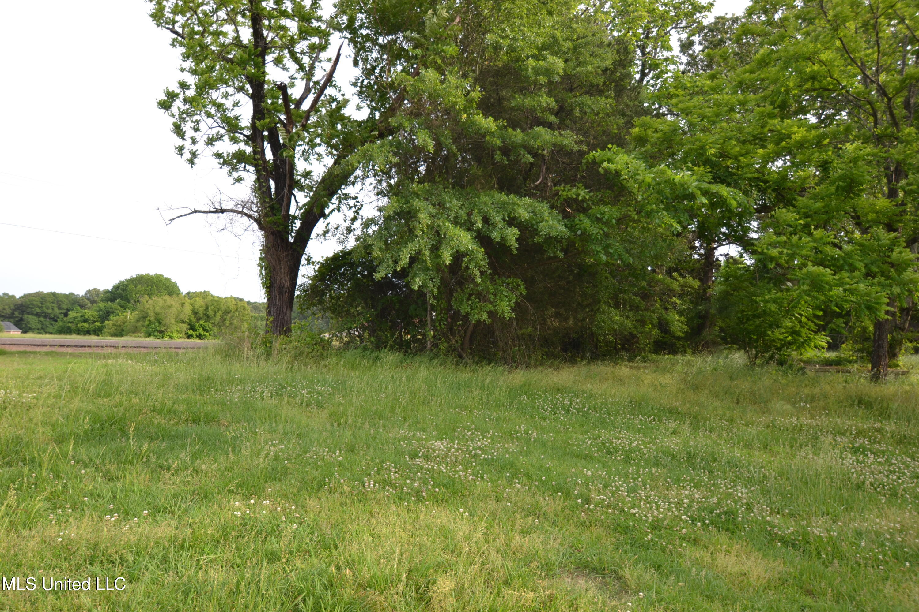 443 Highway 305 N Property Photo 9