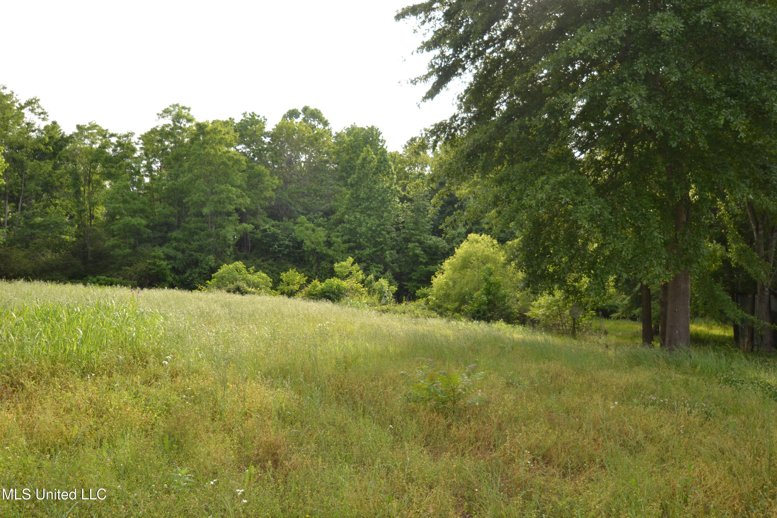 443 Highway 305 N Property Photo 11
