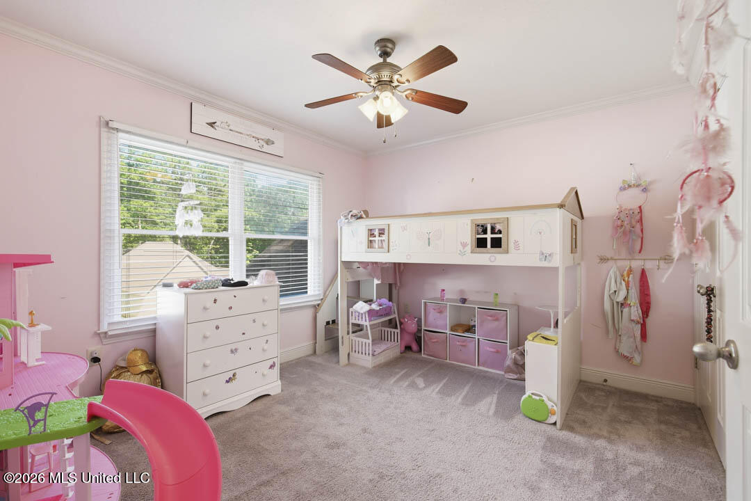 20 Cottage Park Property Photo 25