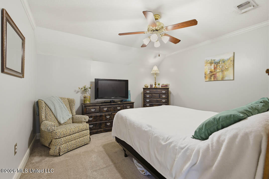 20 Cottage Park Property Photo 27