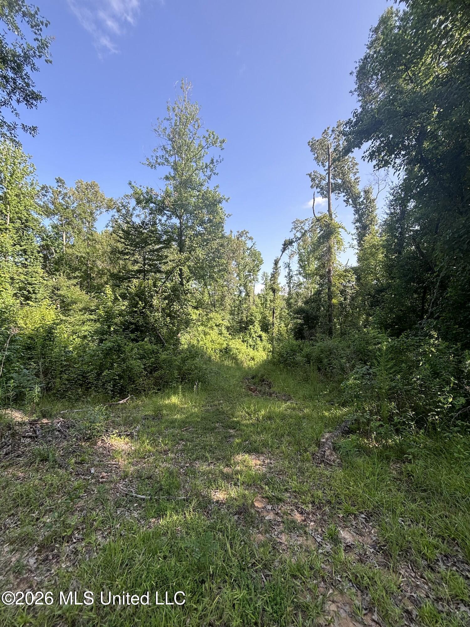 Stevens Rd Property Photo 10