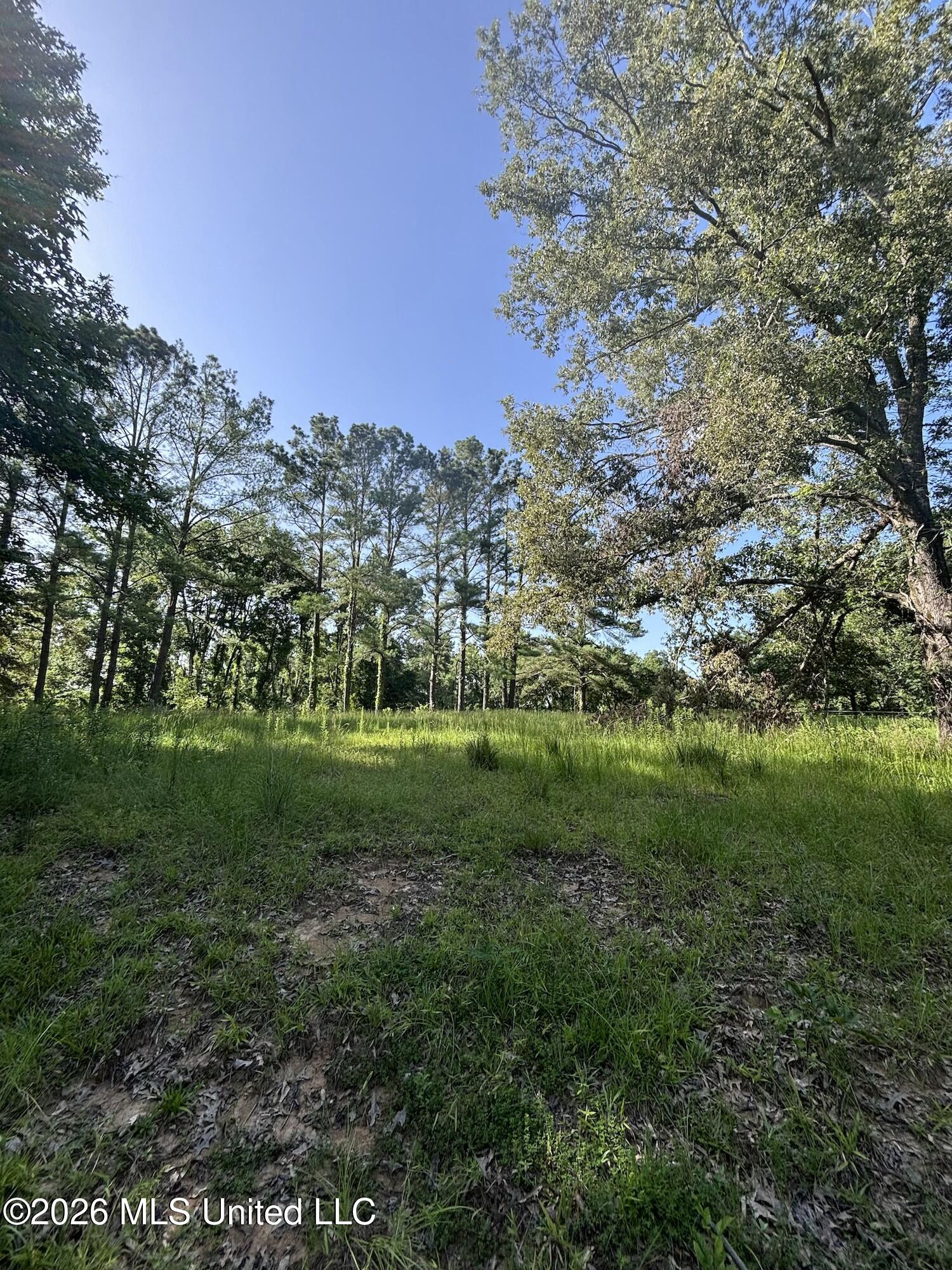 Stevens Rd Property Photo 11