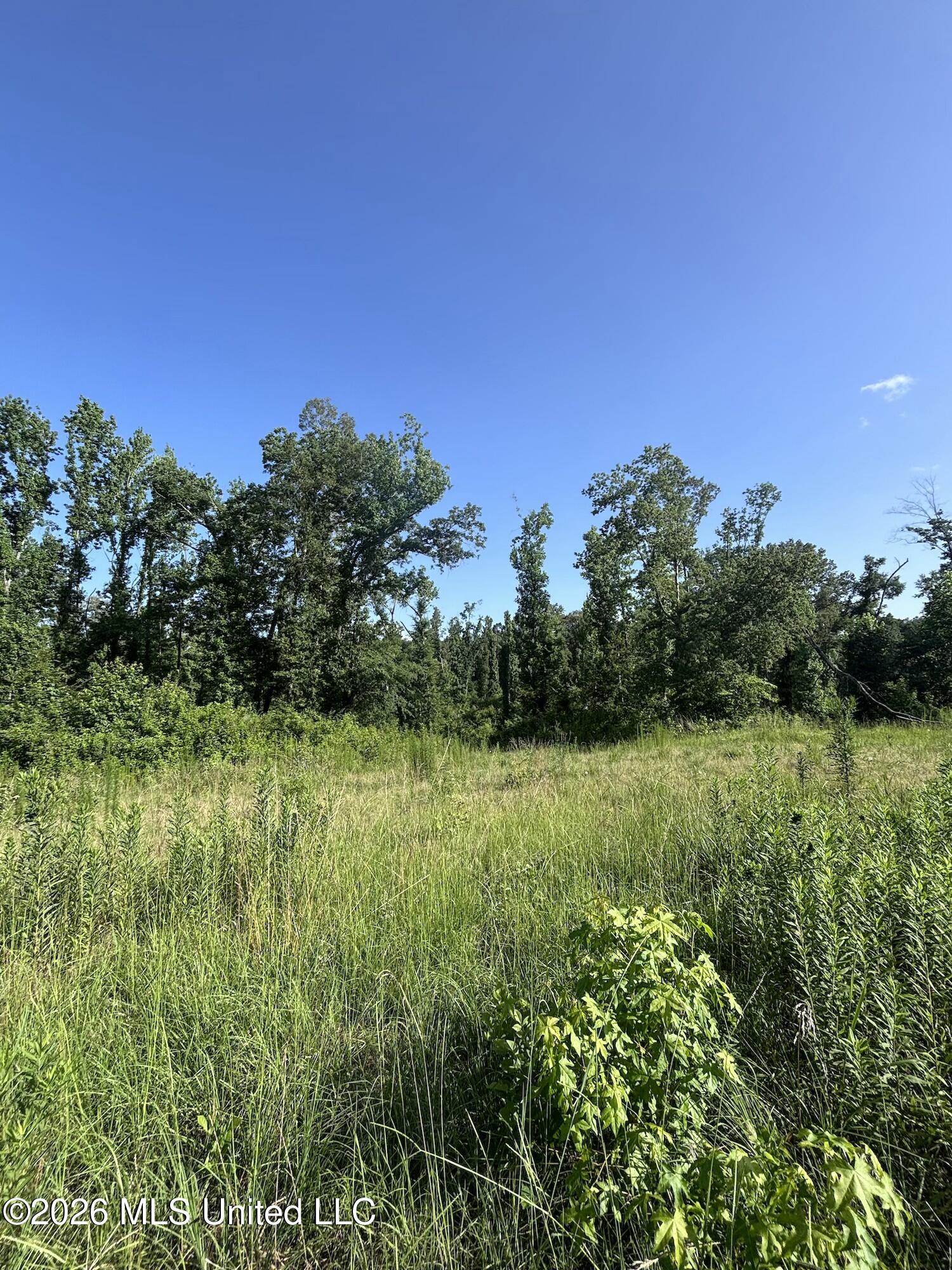 Stevens Rd Property Photo 13