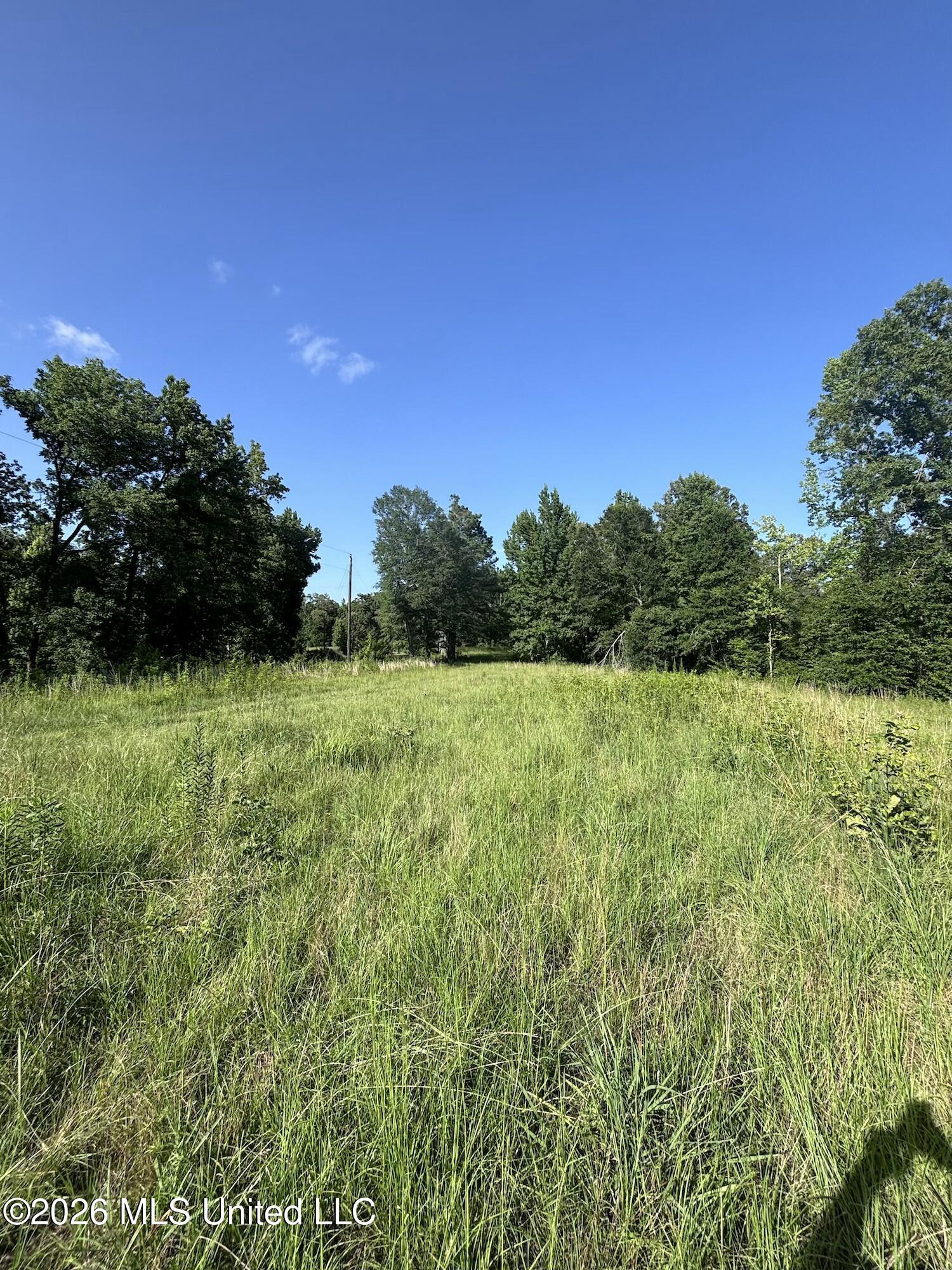 Stevens Rd Property Photo 14