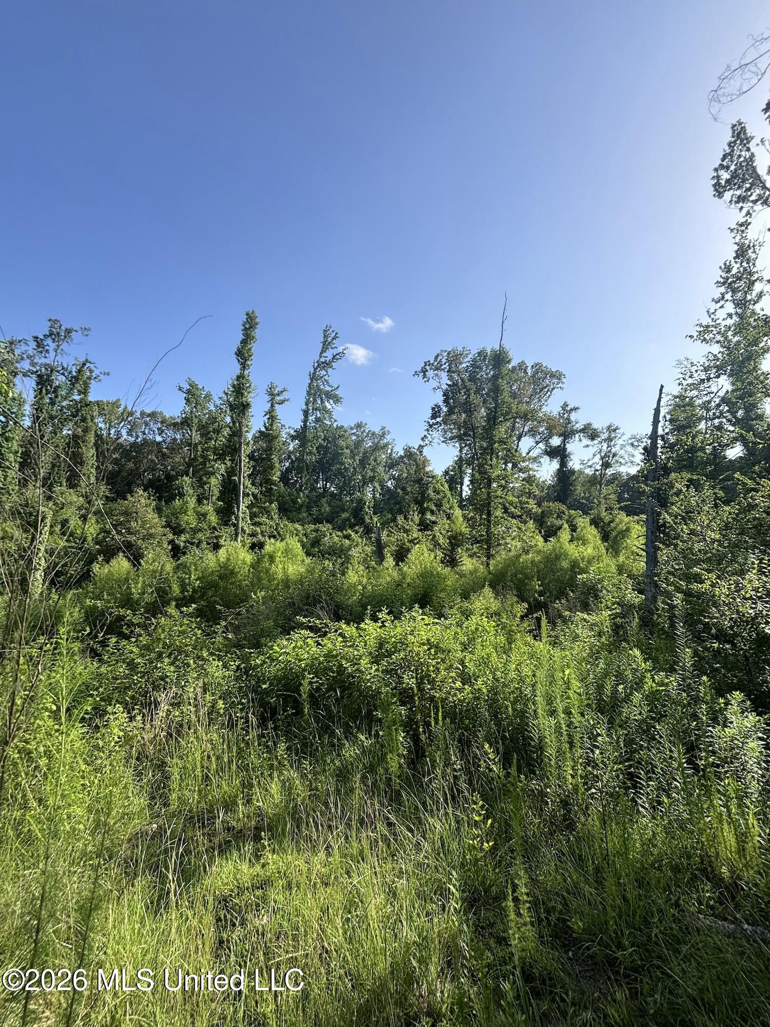 Stevens Rd Property Photo 16