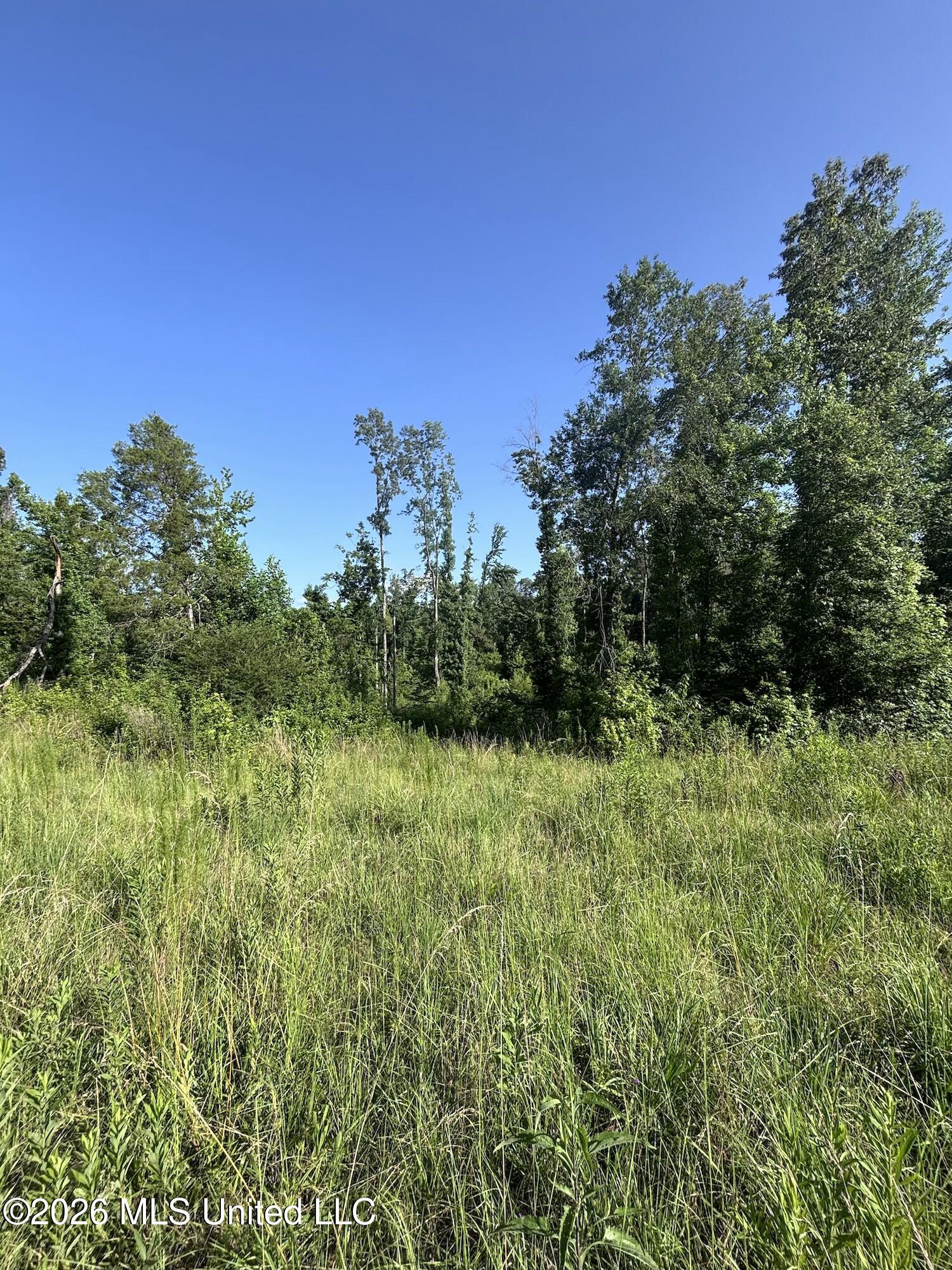 Stevens Rd Property Photo 17