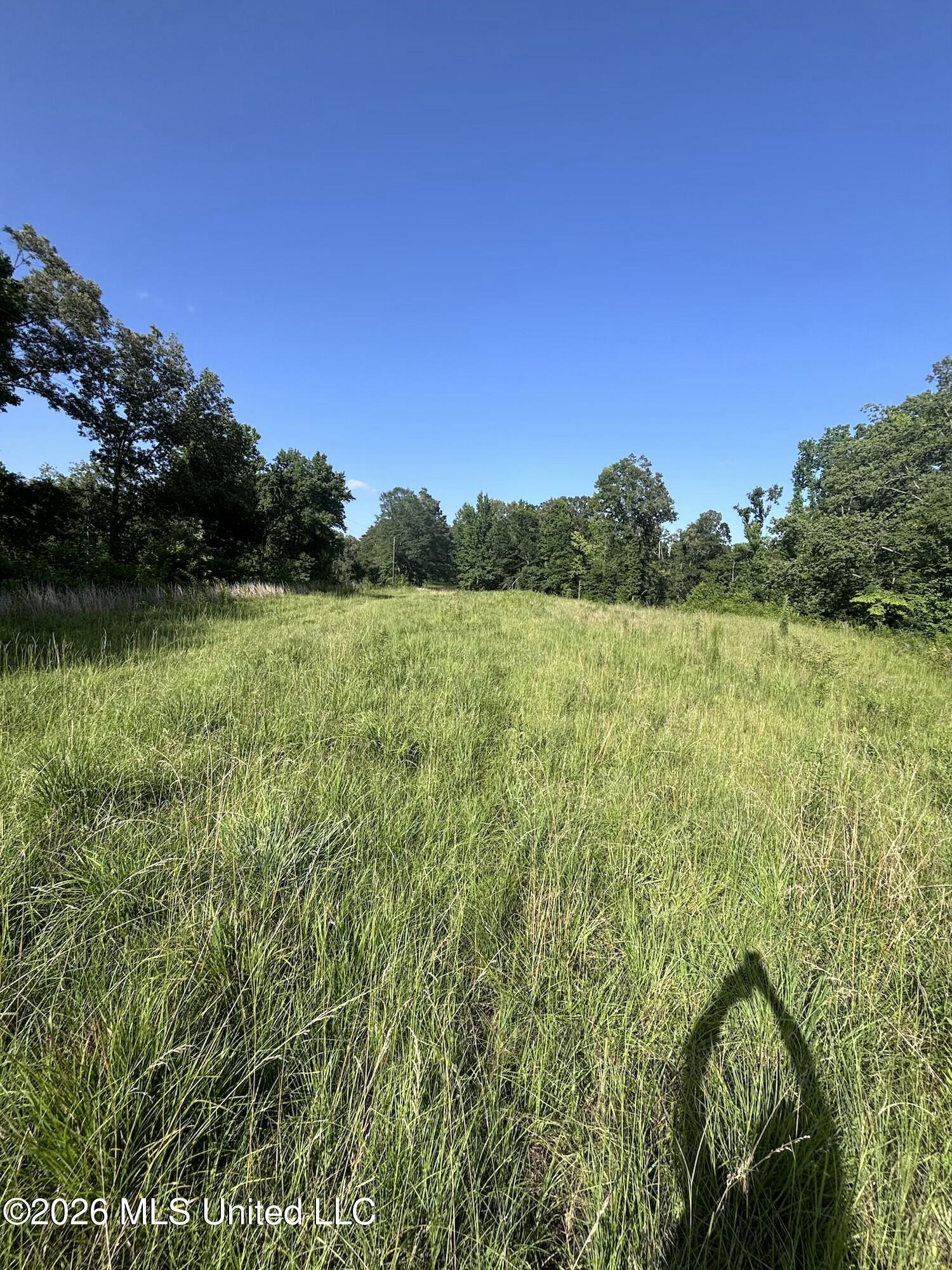 Stevens Rd Property Photo 18