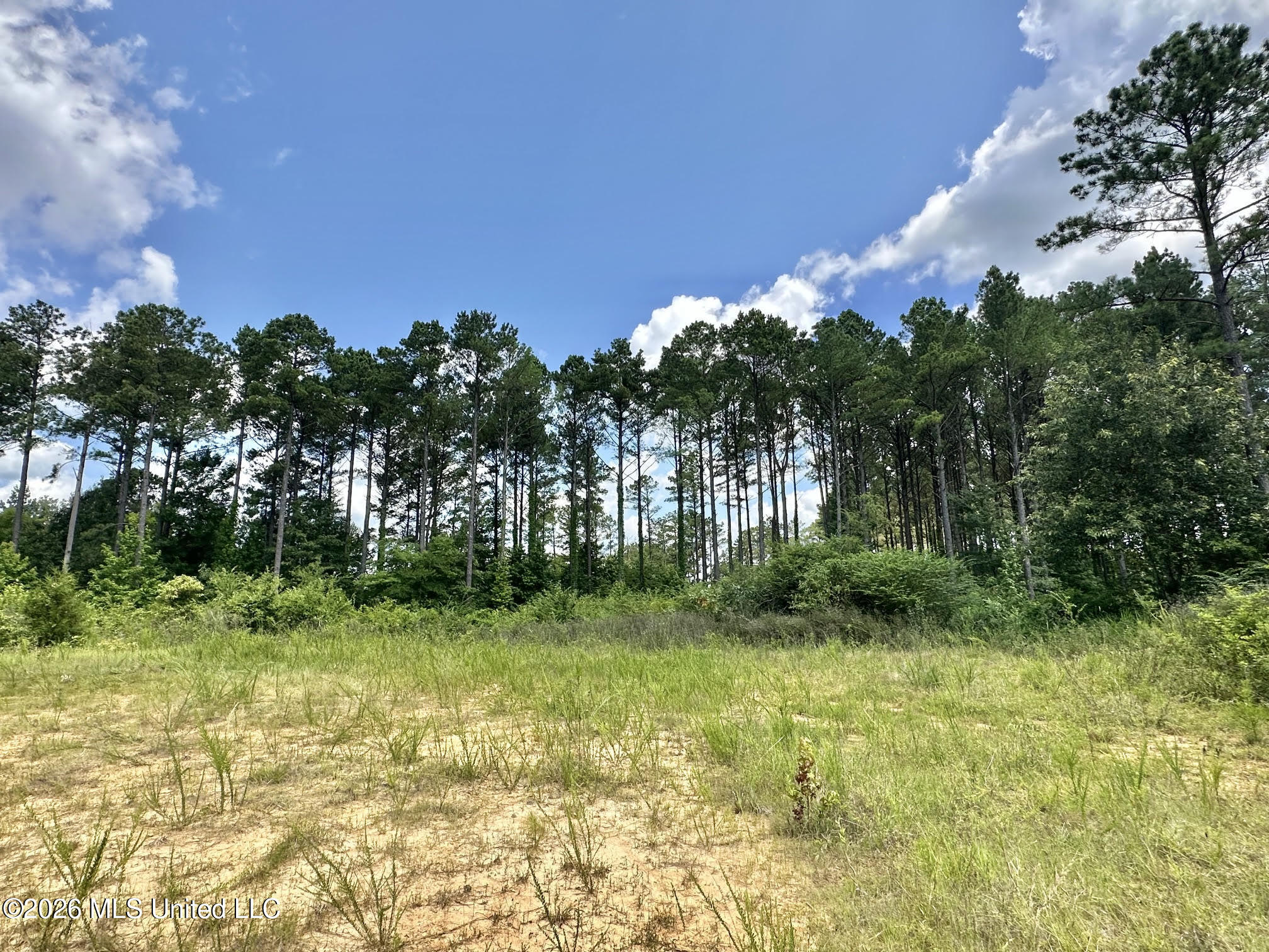 Hwy 43 Highway Property Photo 9
