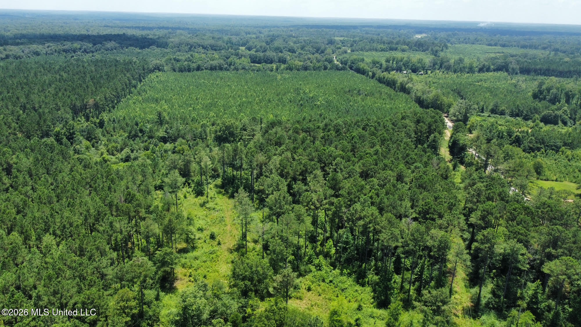 Hwy 43 Highway Property Photo 25