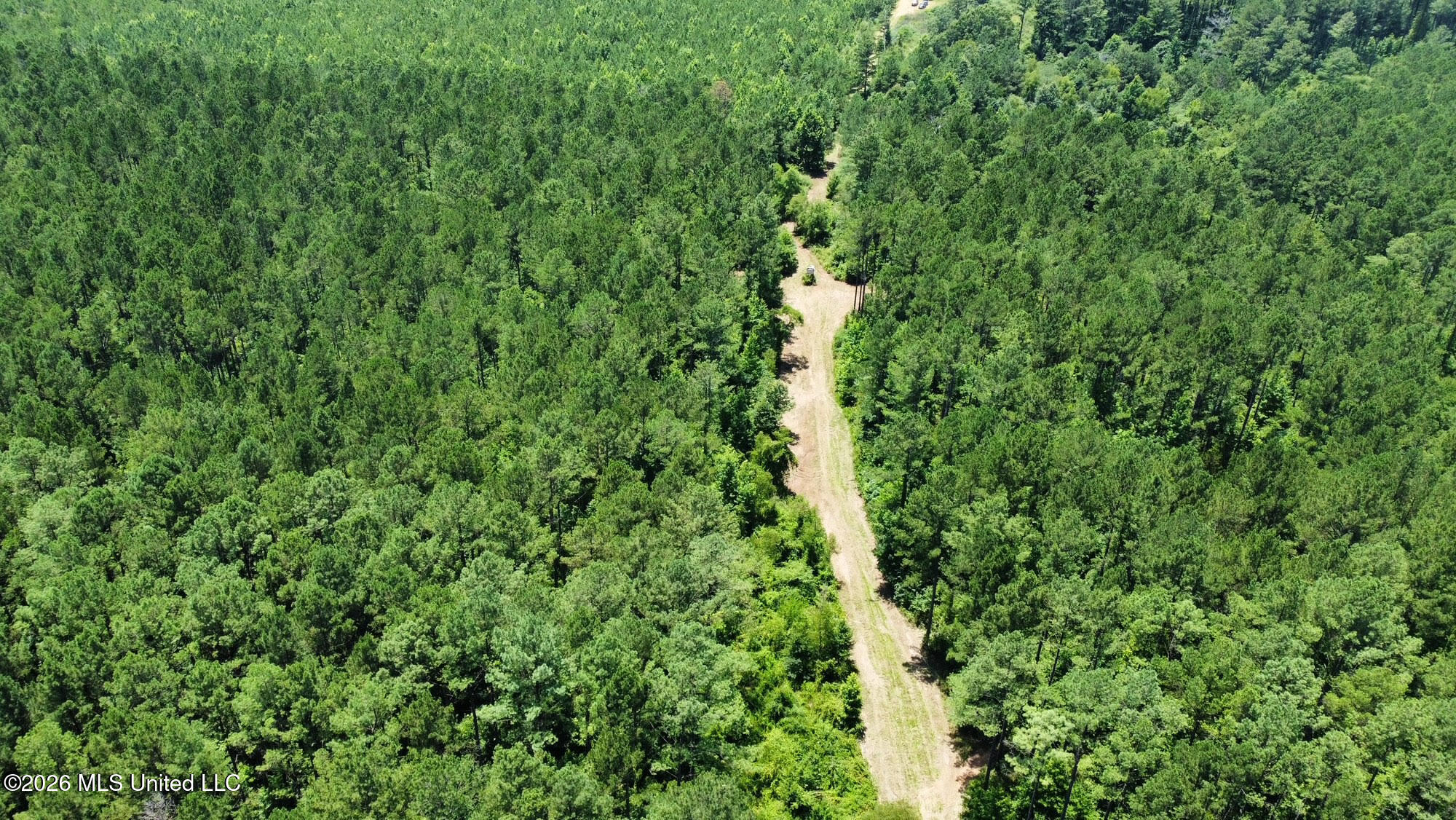 Hwy 43 Highway Property Photo 31