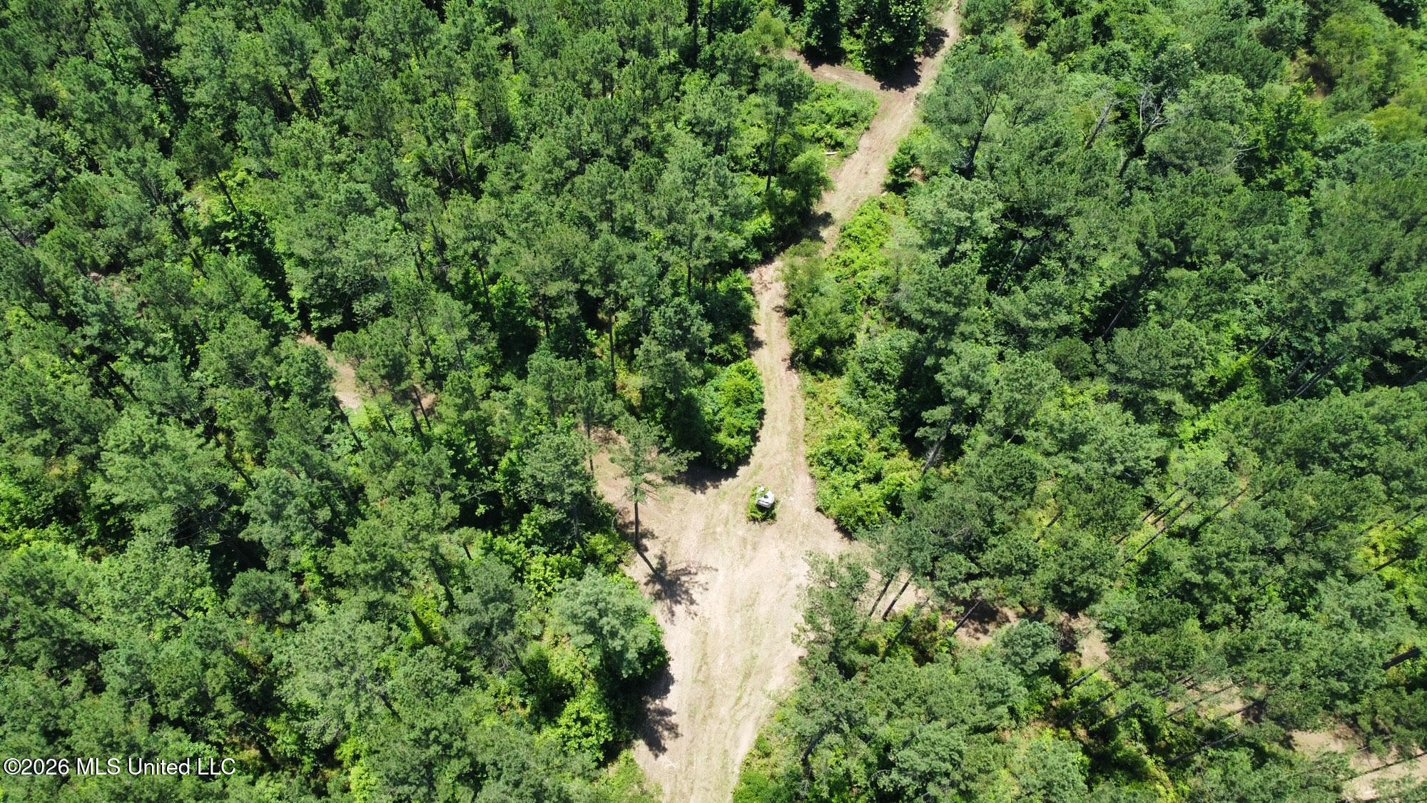 Hwy 43 Highway Property Photo 32