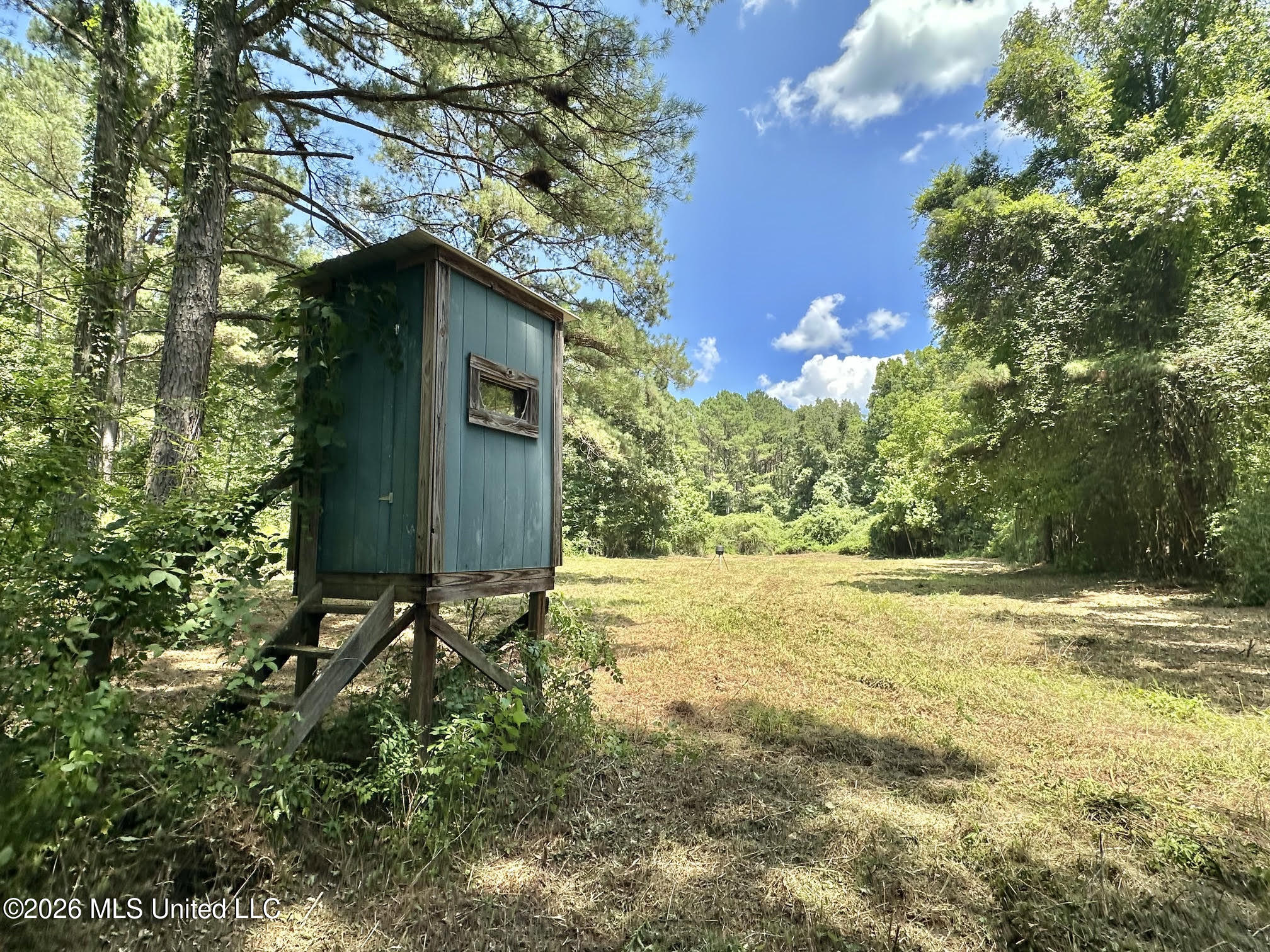 Hwy 43 Highway Property Photo 39