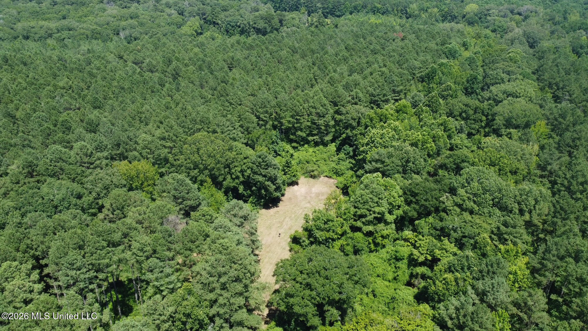Hwy 43 Highway Property Photo 45