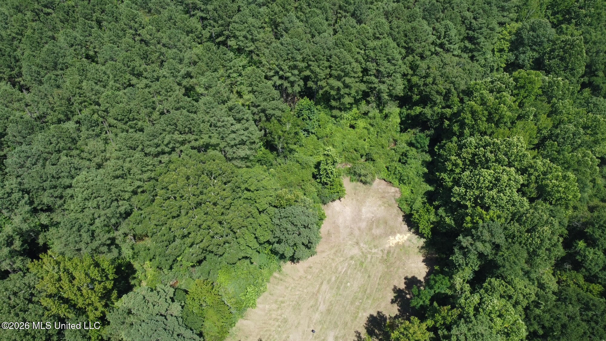 Hwy 43 Highway Property Photo 46