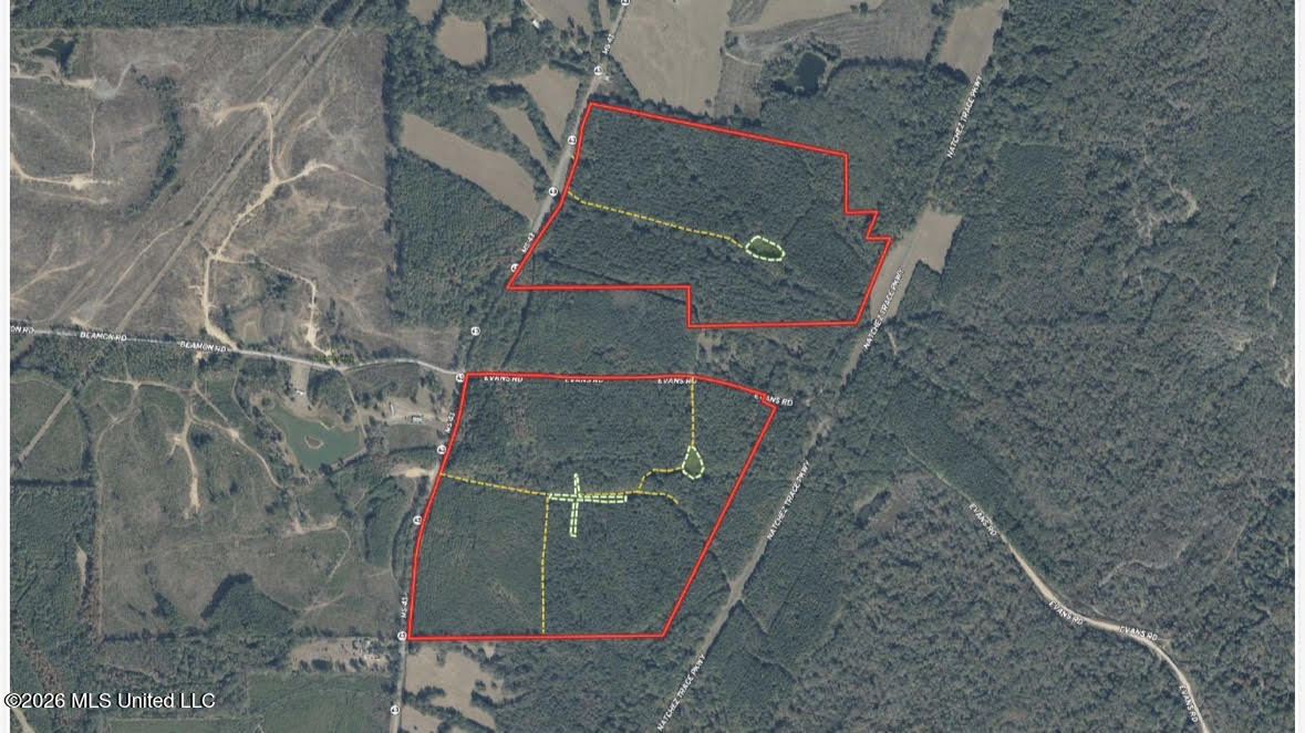 Hwy 43 Highway Property Photo 48
