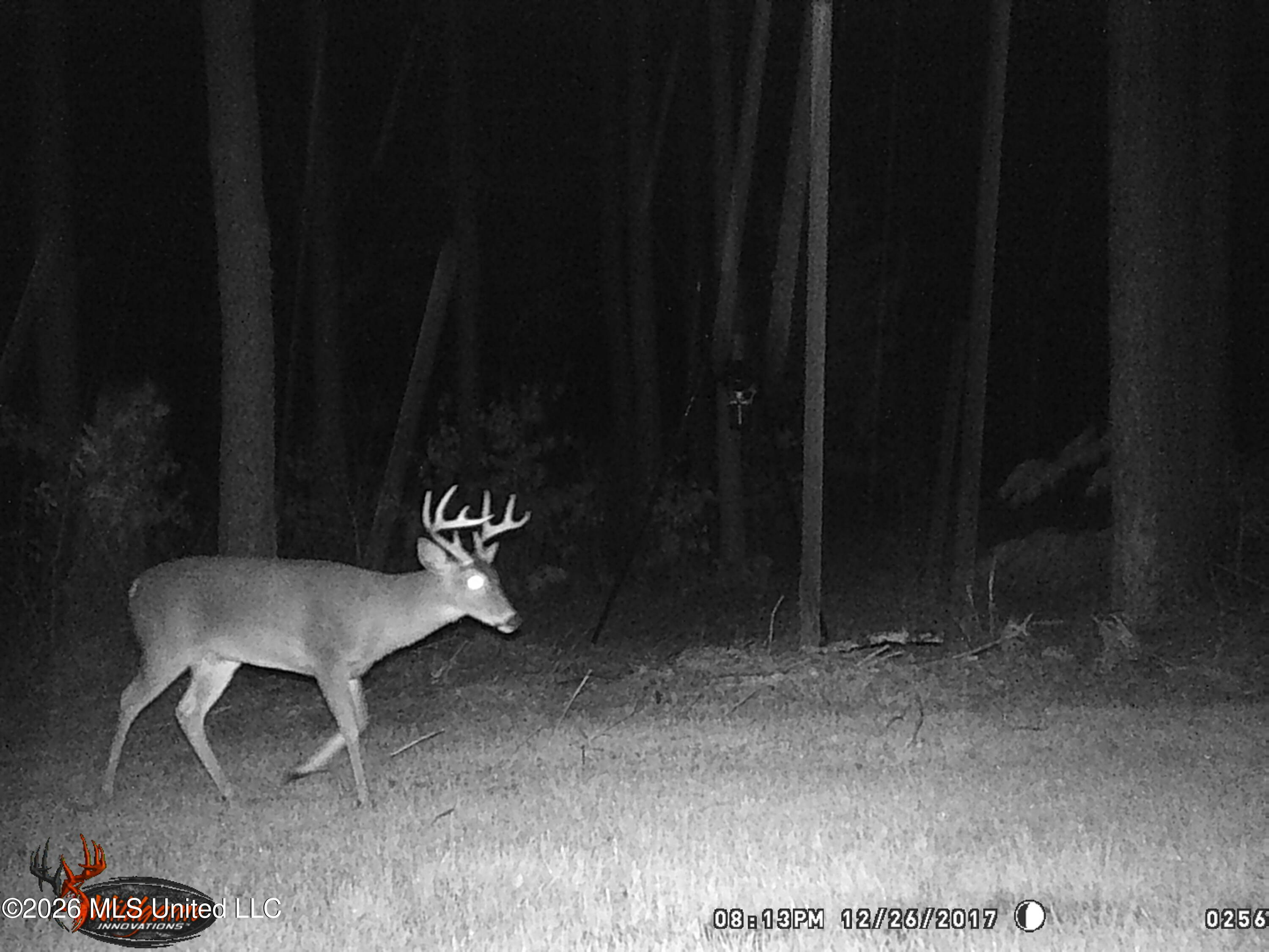 Hwy 43 Highway Property Photo 65