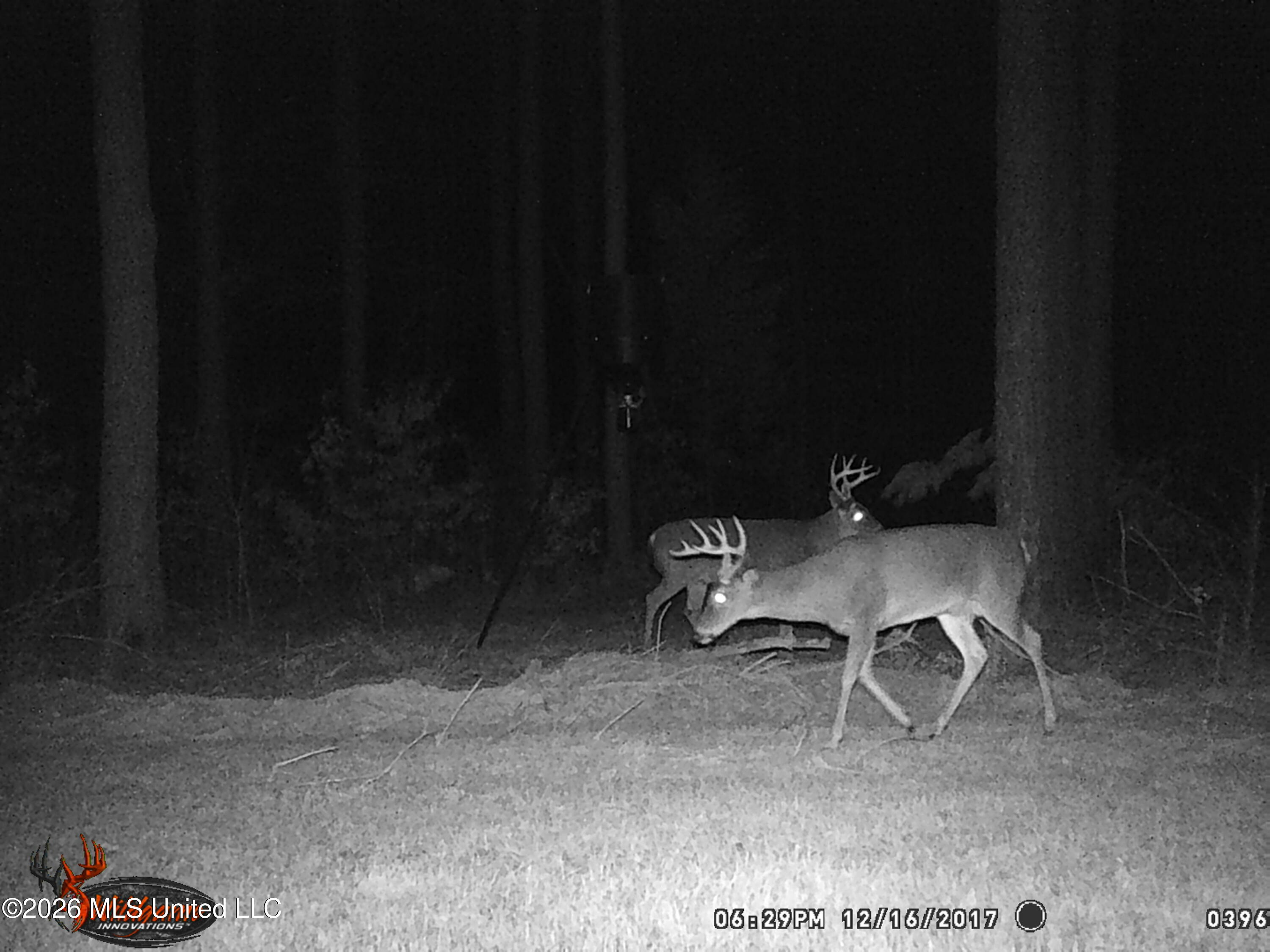 Hwy 43 Highway Property Photo 67