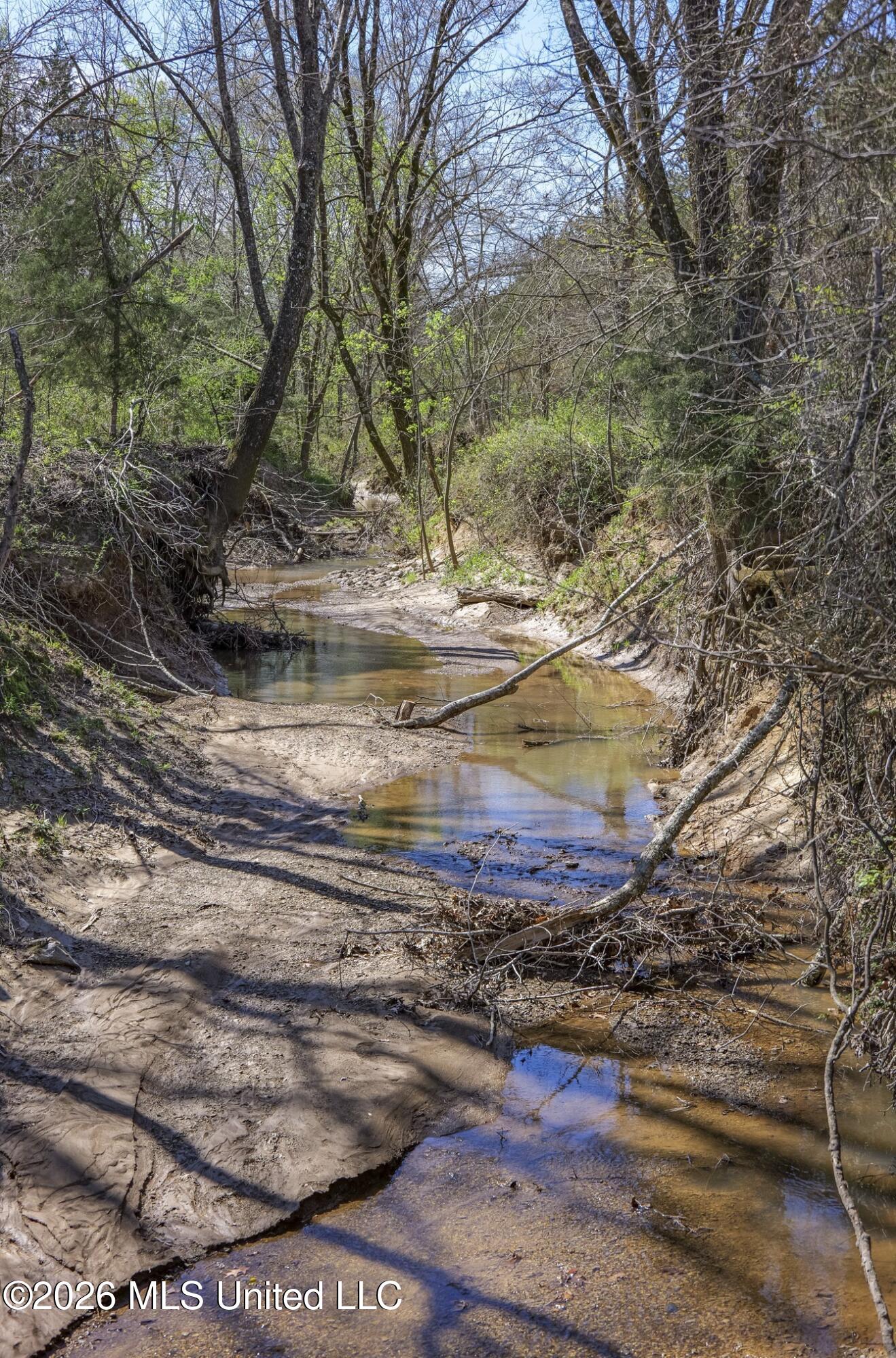 Shook Road Property Photo 13