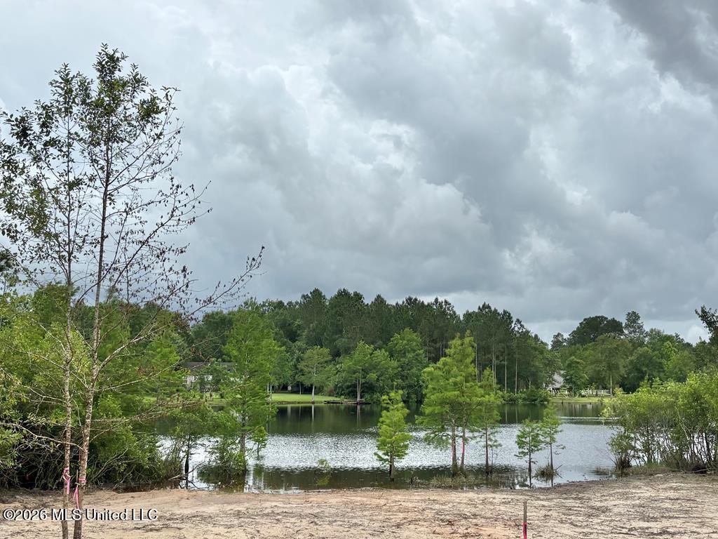 7183 Sunfish Cove Property Photo 4