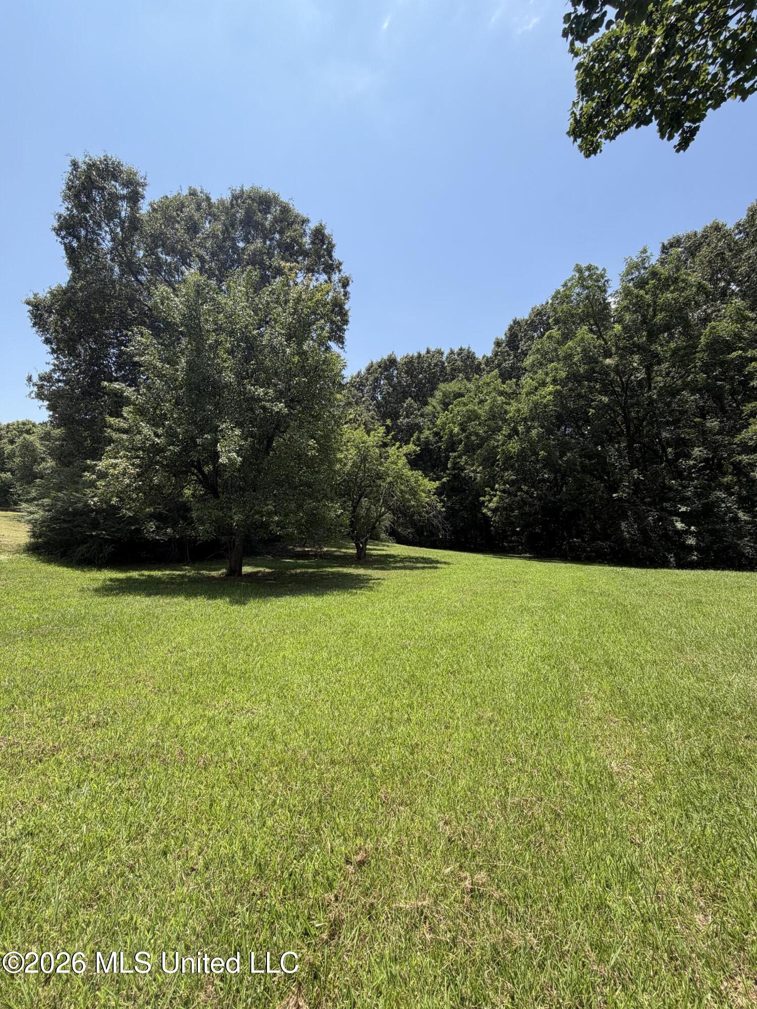 7695 Hummingbird Drive Property Photo 38