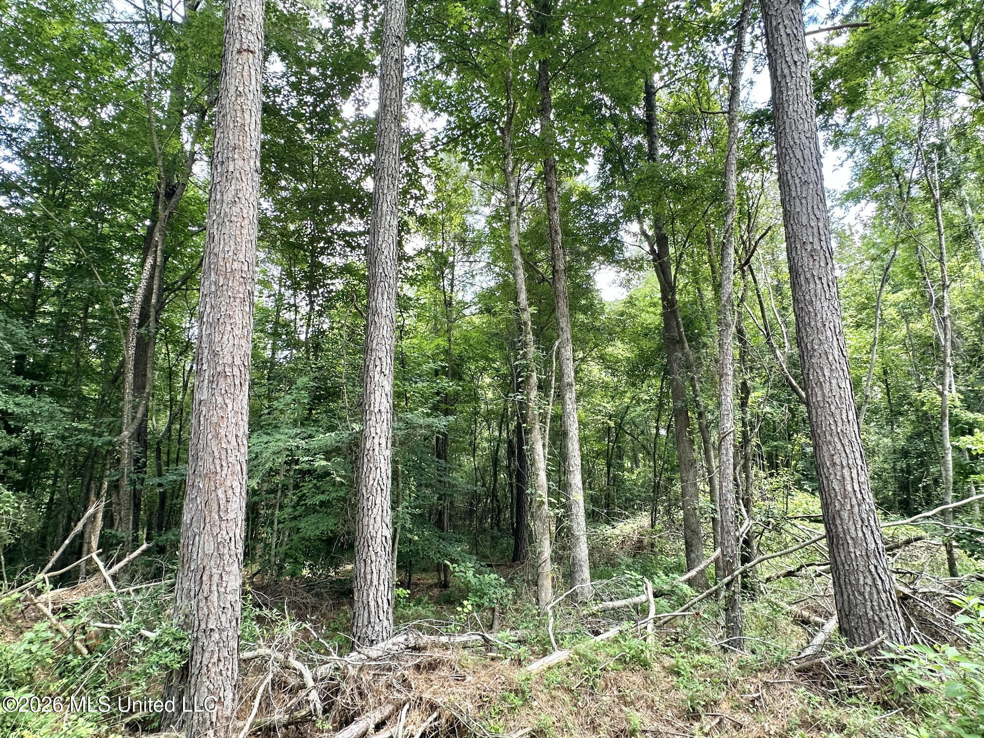 1 Highway 35 Property Photo 5