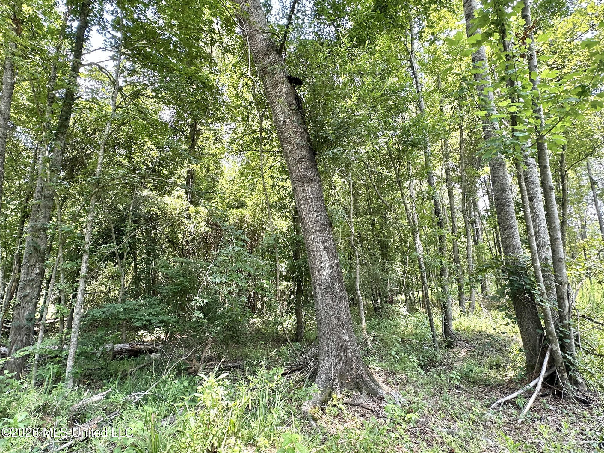 1 Highway 35 Property Photo 6