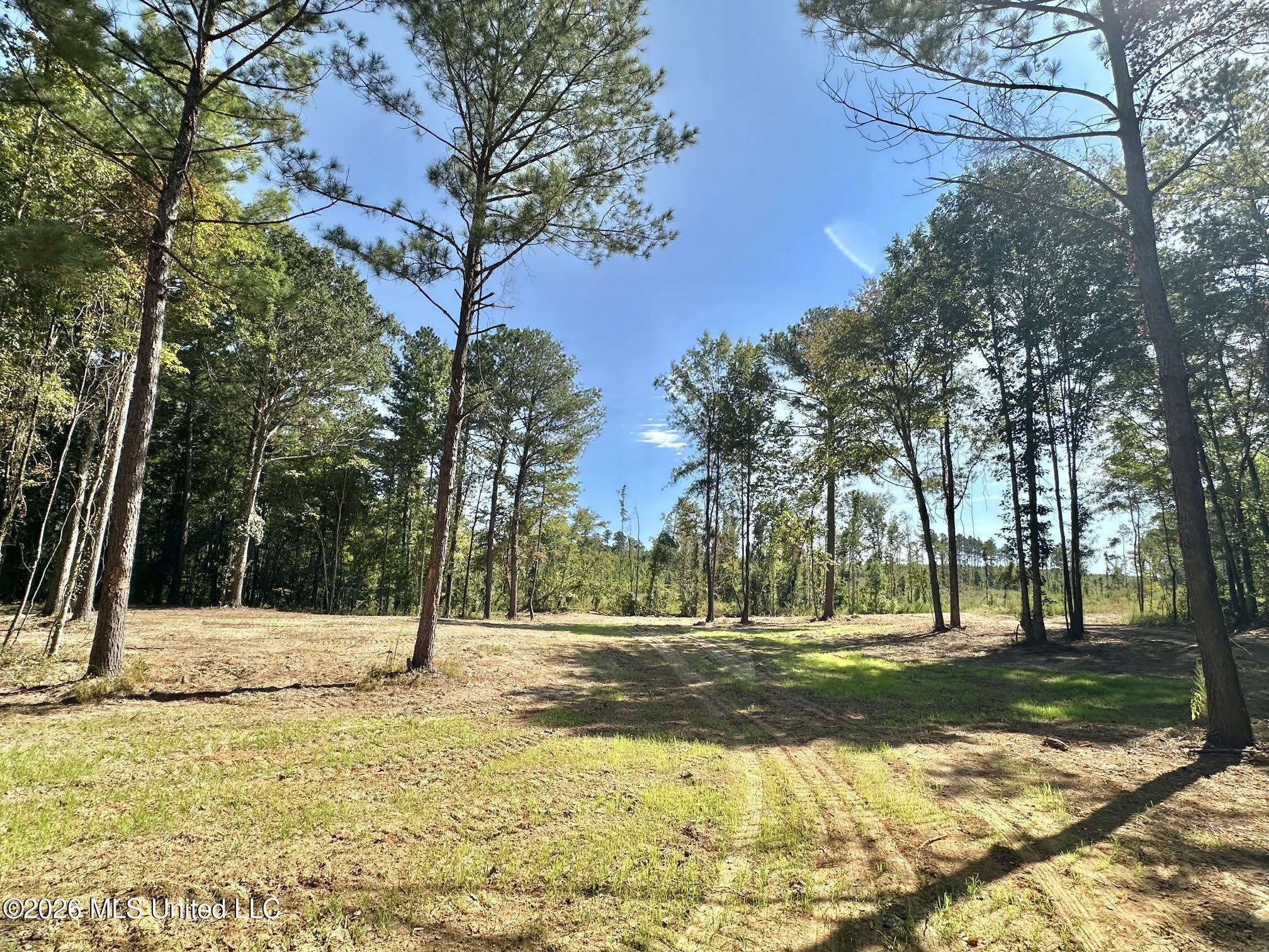 1 Highway 35 Property Photo 13