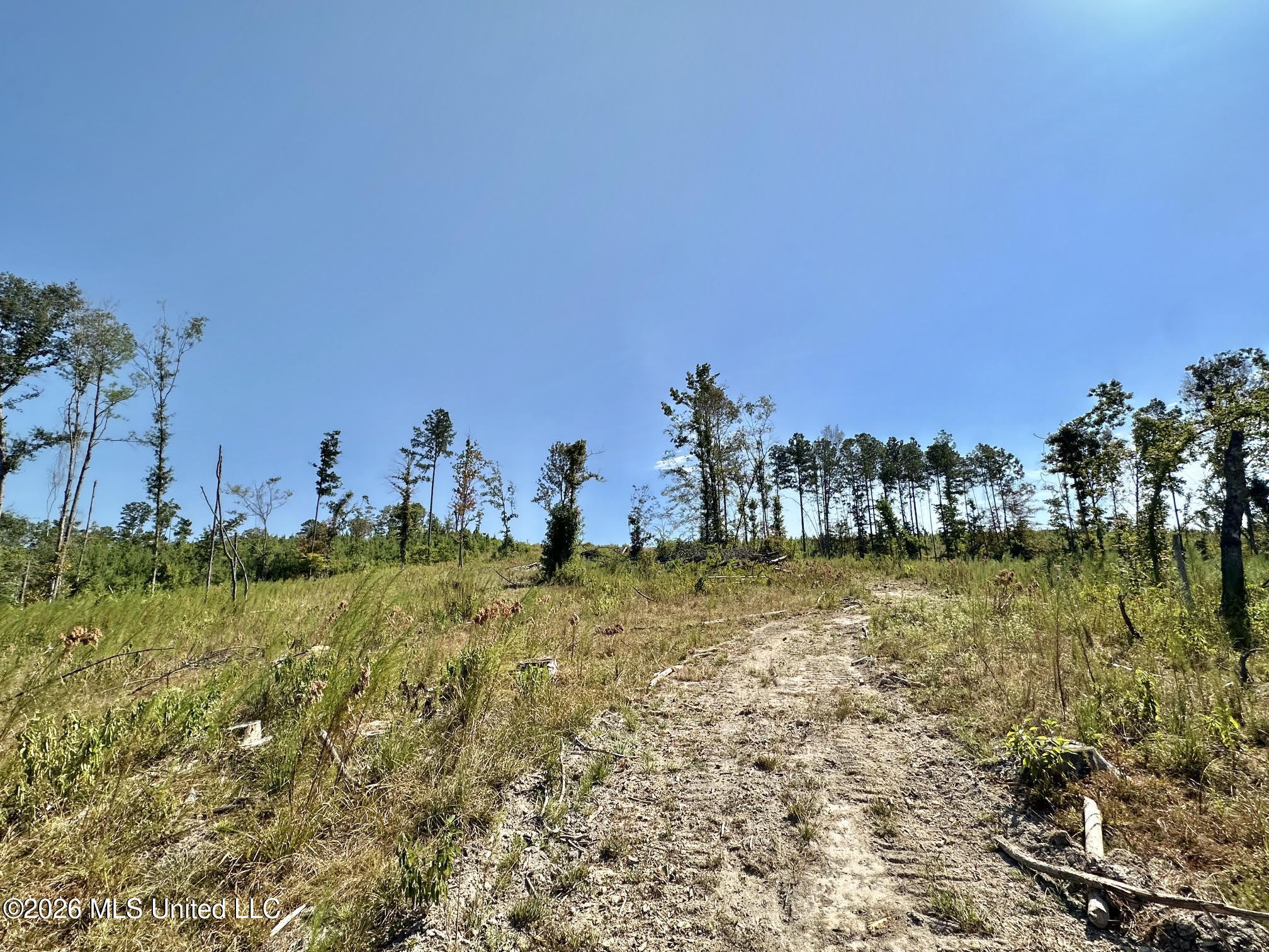 1 Highway 35 Property Photo 16