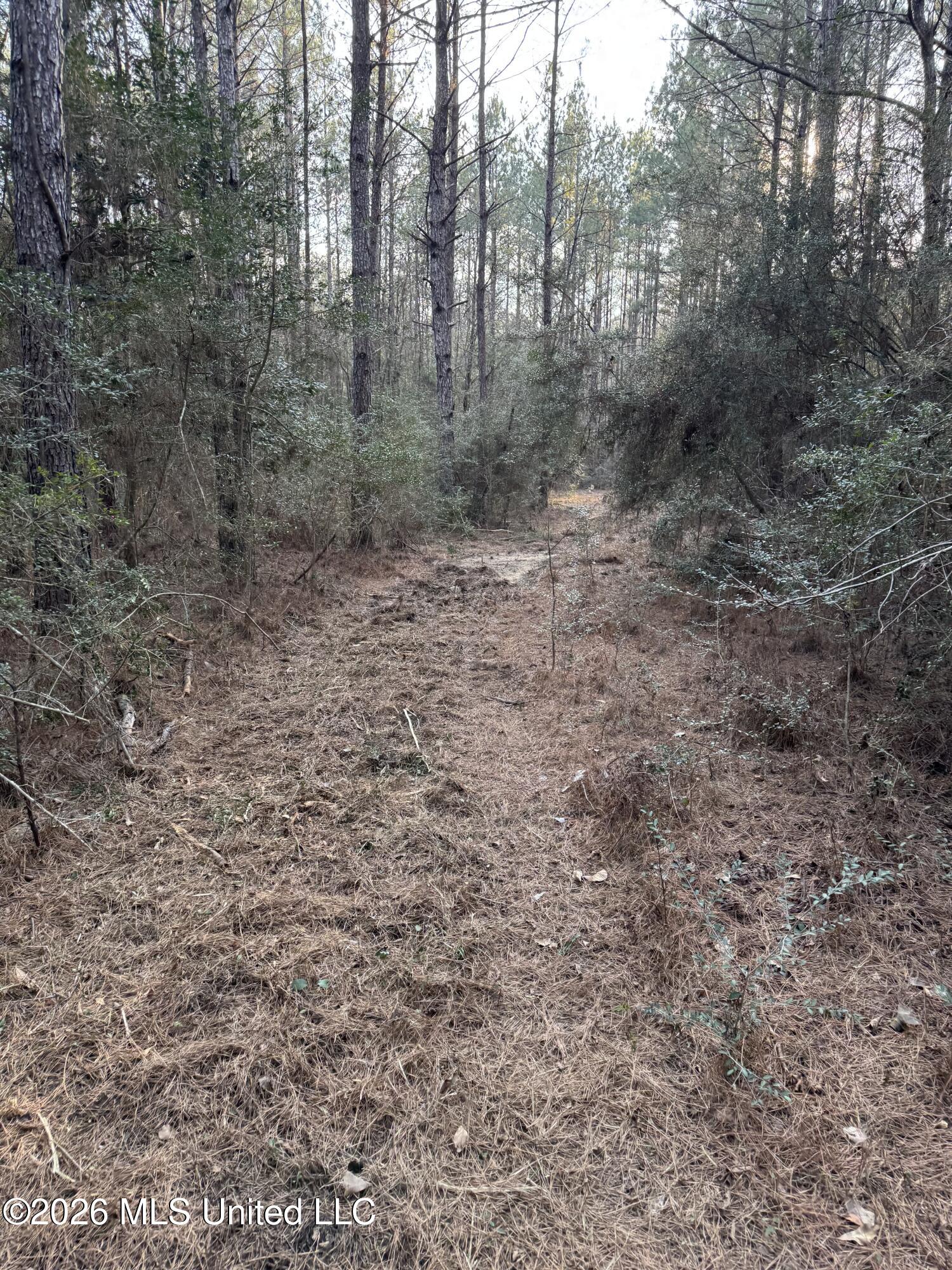 Mississippi 42 Property Photo 3