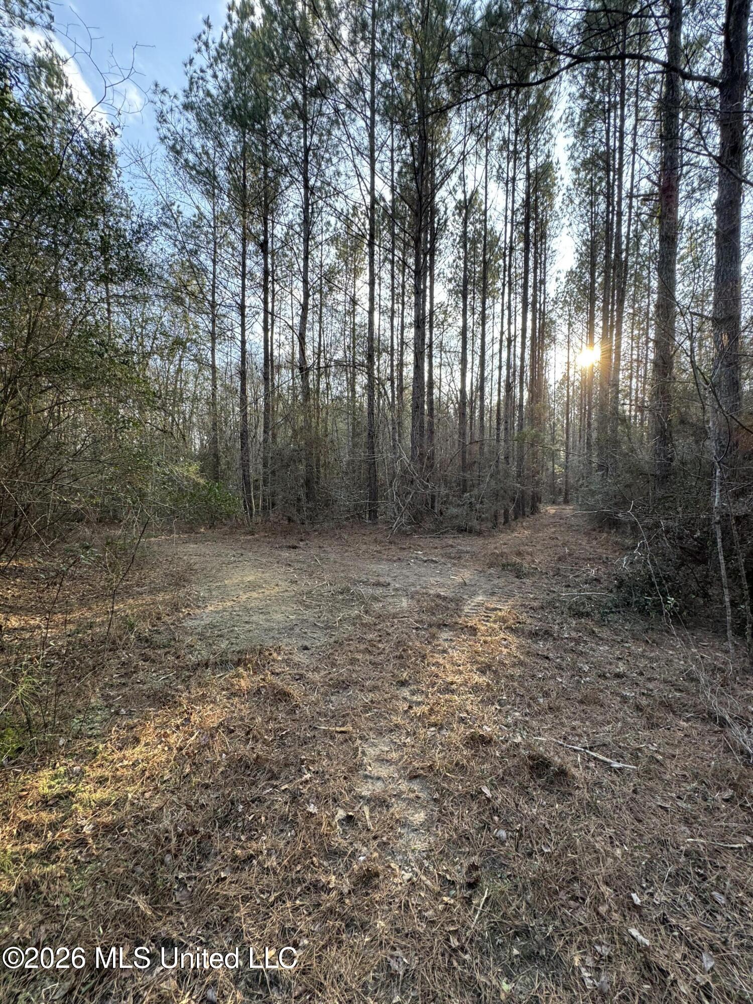 Mississippi 42 Property Photo 7