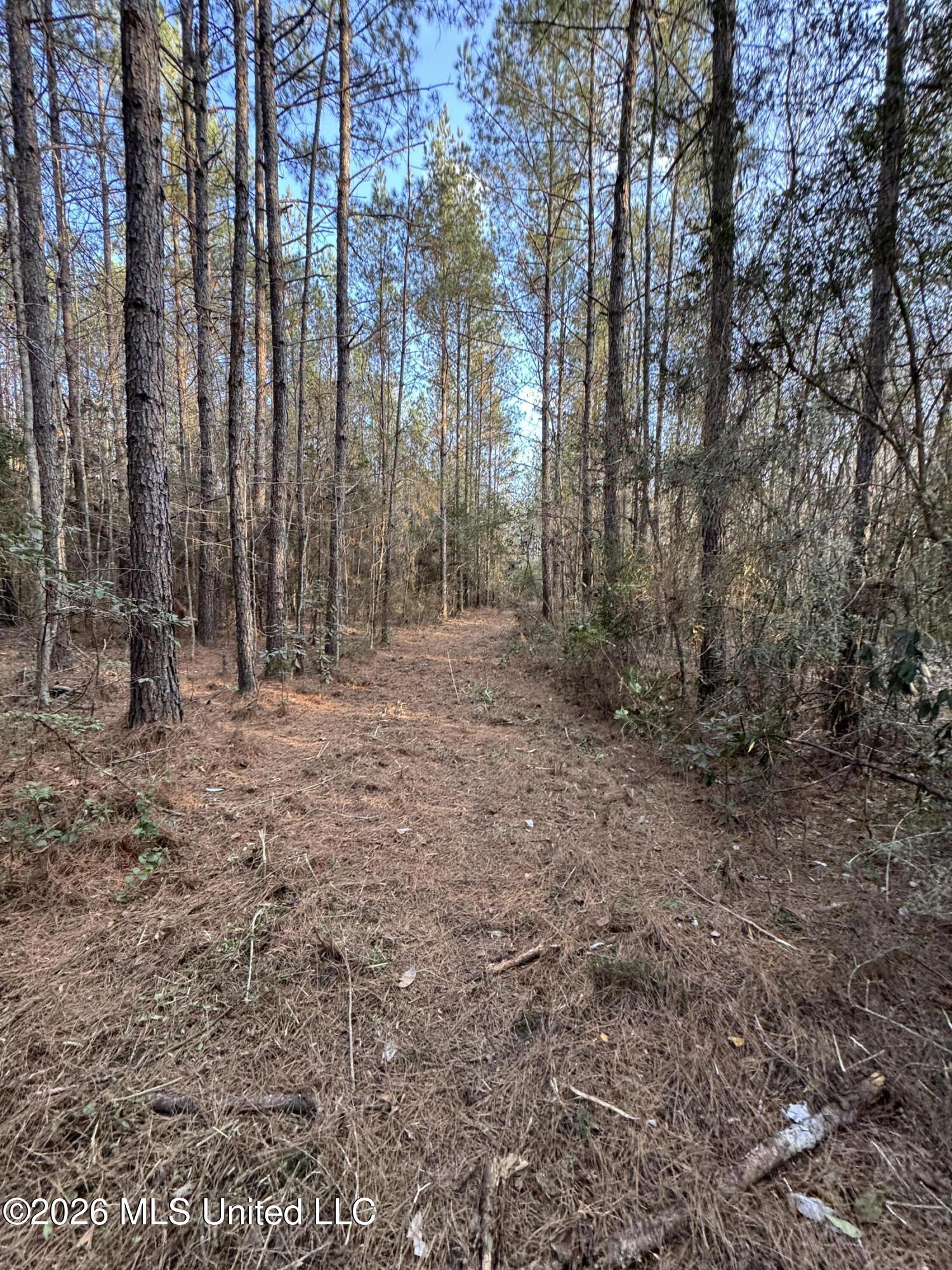 Mississippi 42 Property Photo 10