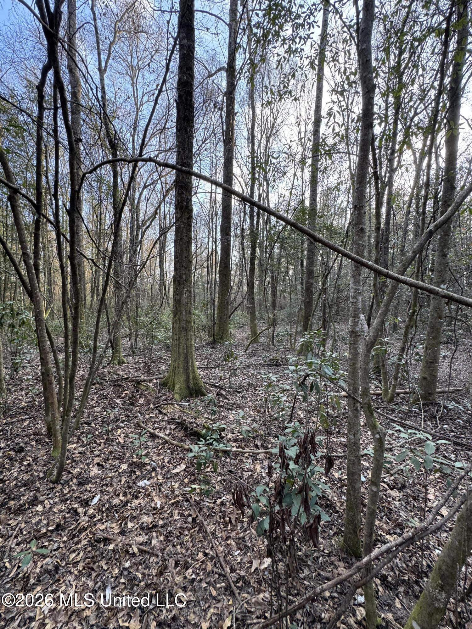 Mississippi 42 Property Photo 11