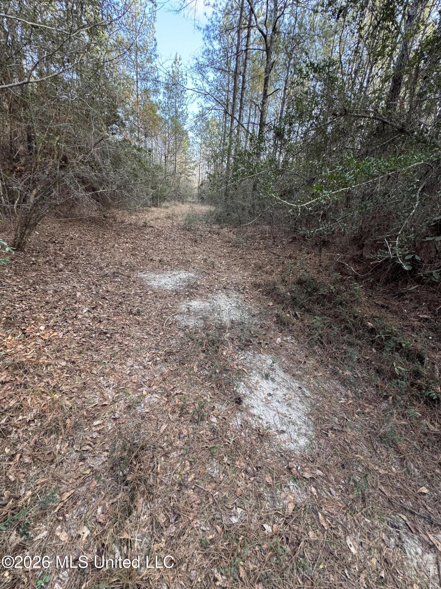 Mississippi 42 Property Photo 15