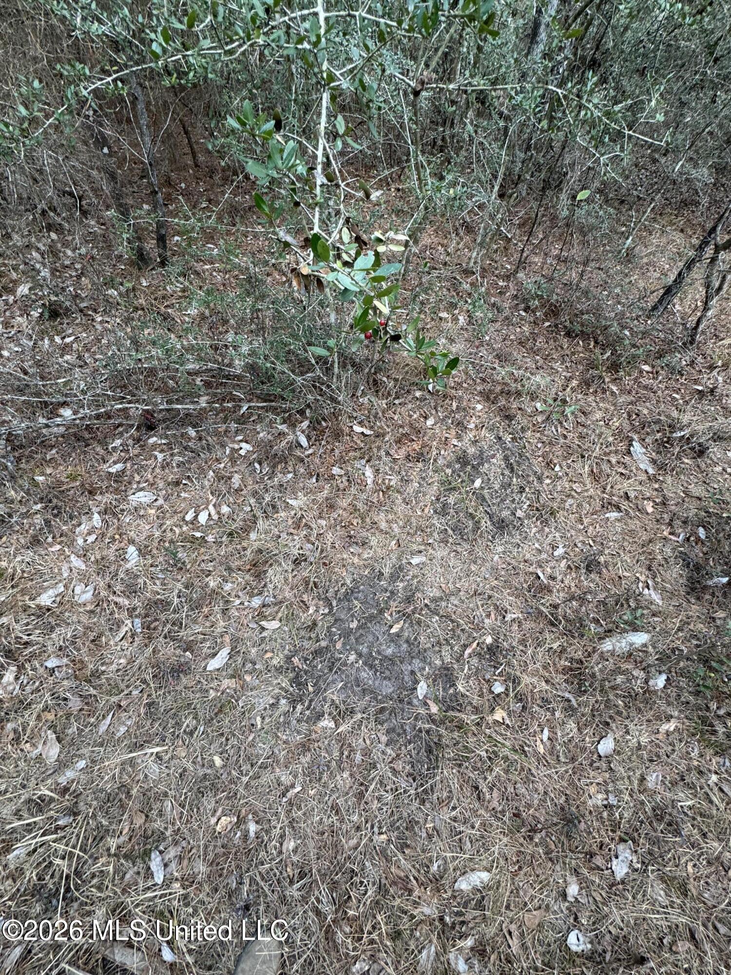 Mississippi 42 Property Photo 16