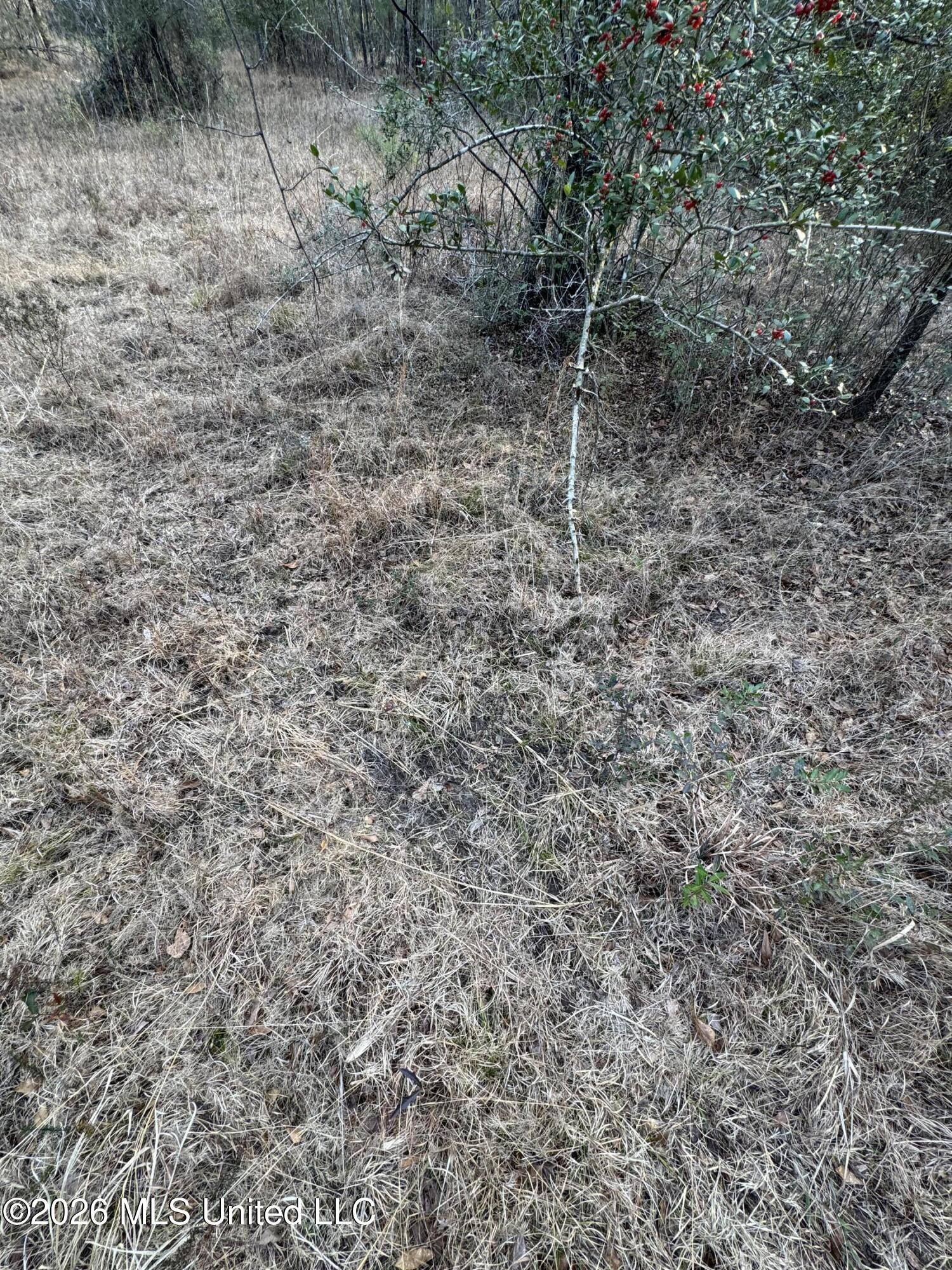 Mississippi 42 Property Photo 17