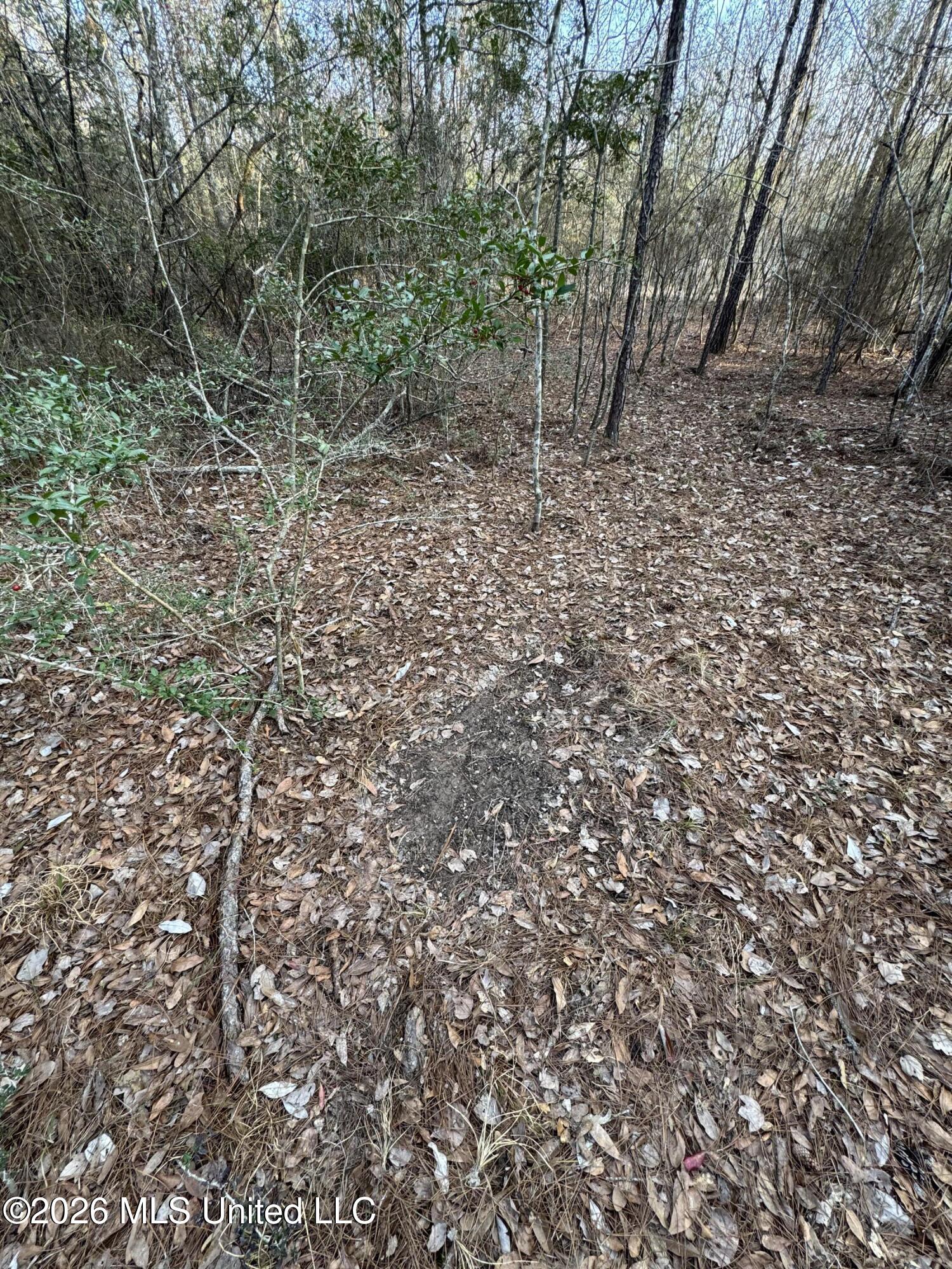 Mississippi 42 Property Photo 18