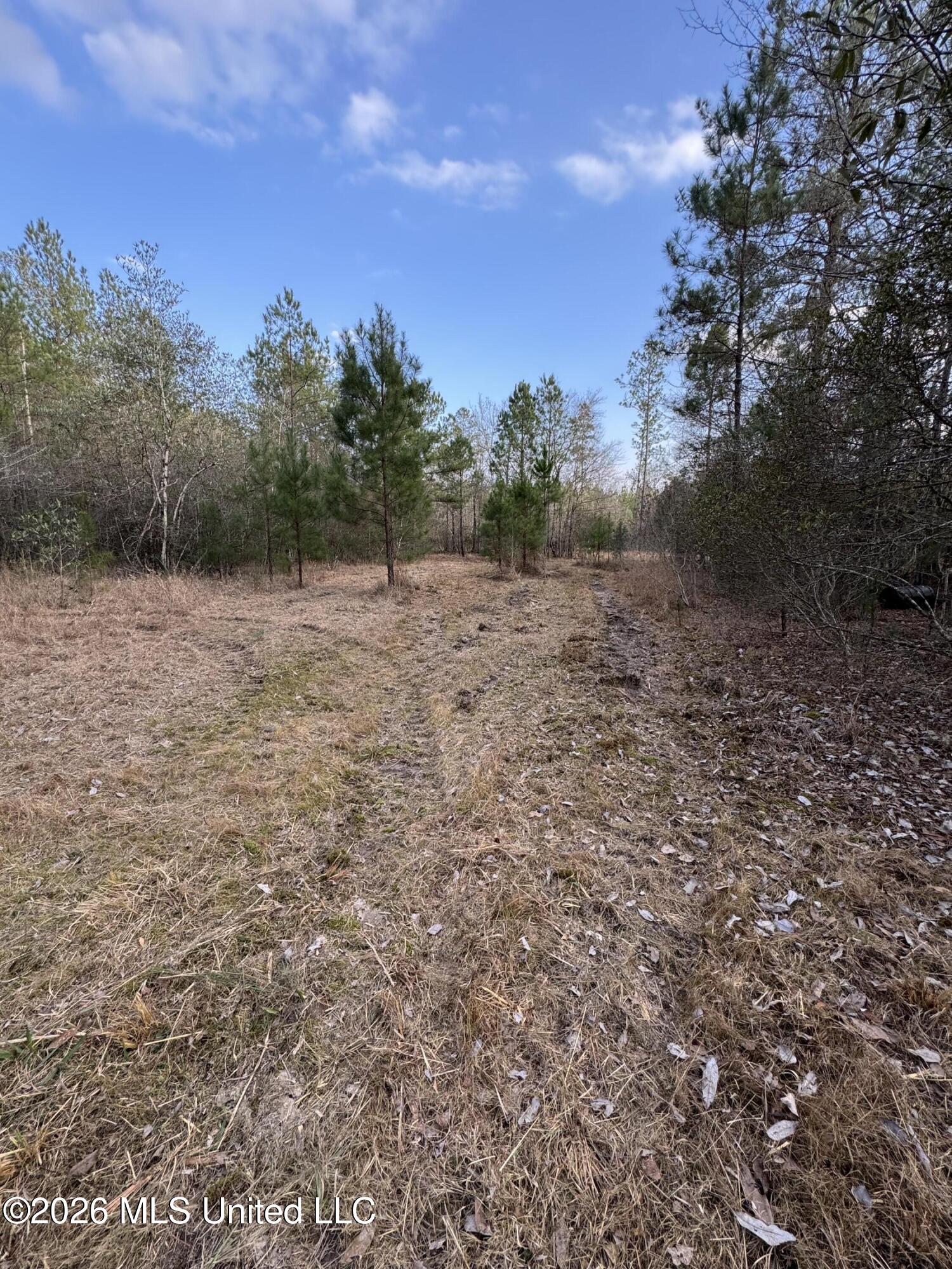 Mississippi 42 Property Photo 19