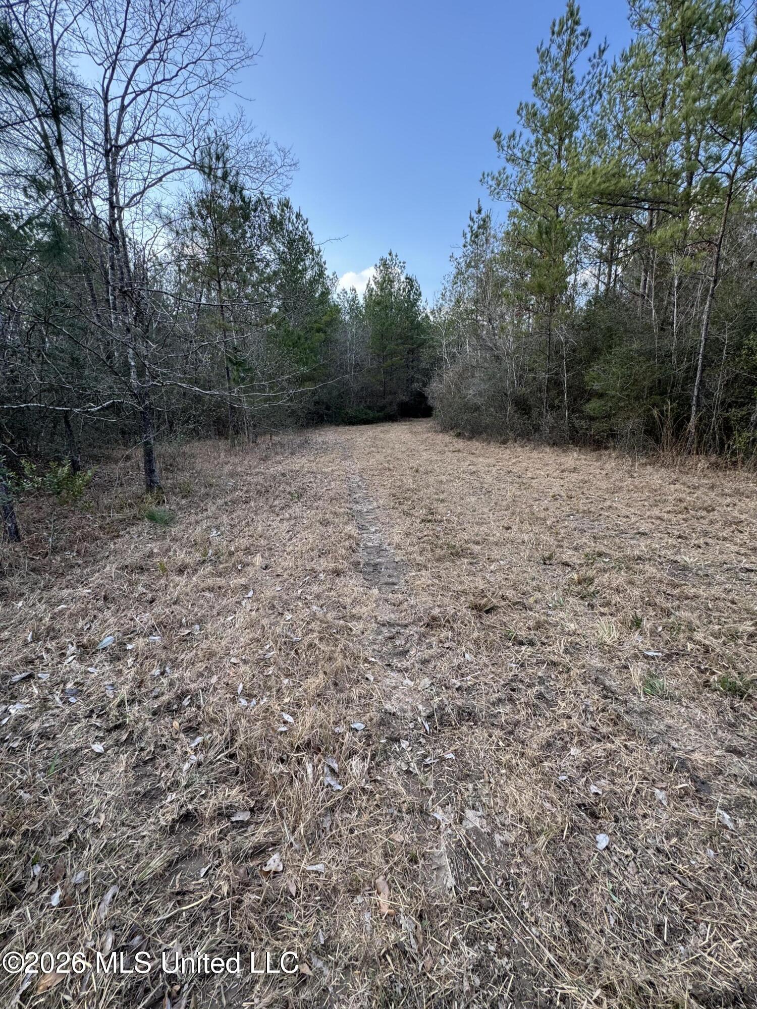 Mississippi 42 Property Photo 20