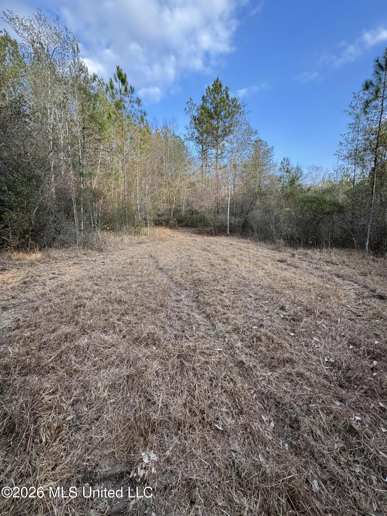 Mississippi 42 Property Photo 21