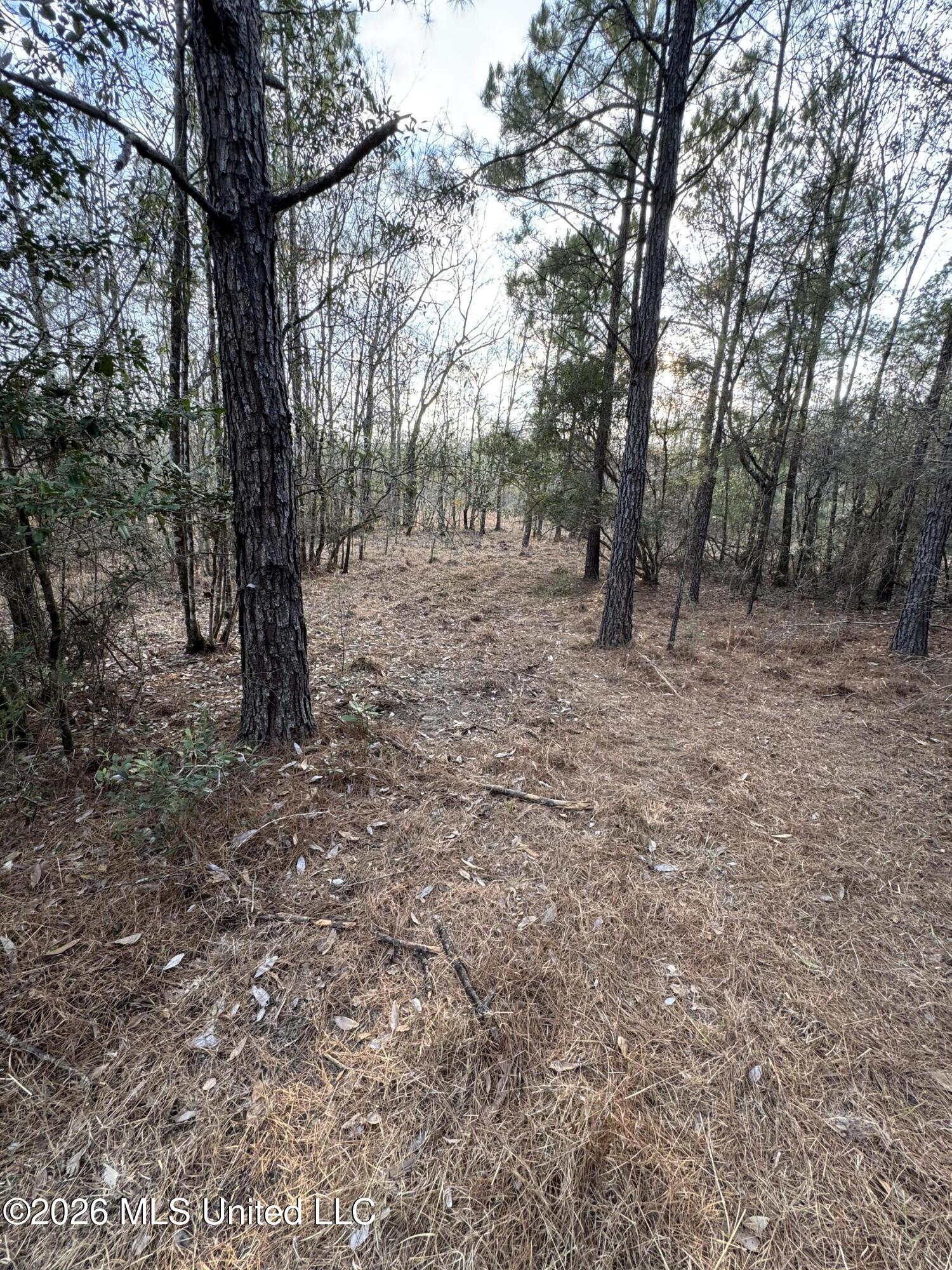 Mississippi 42 Property Photo 22