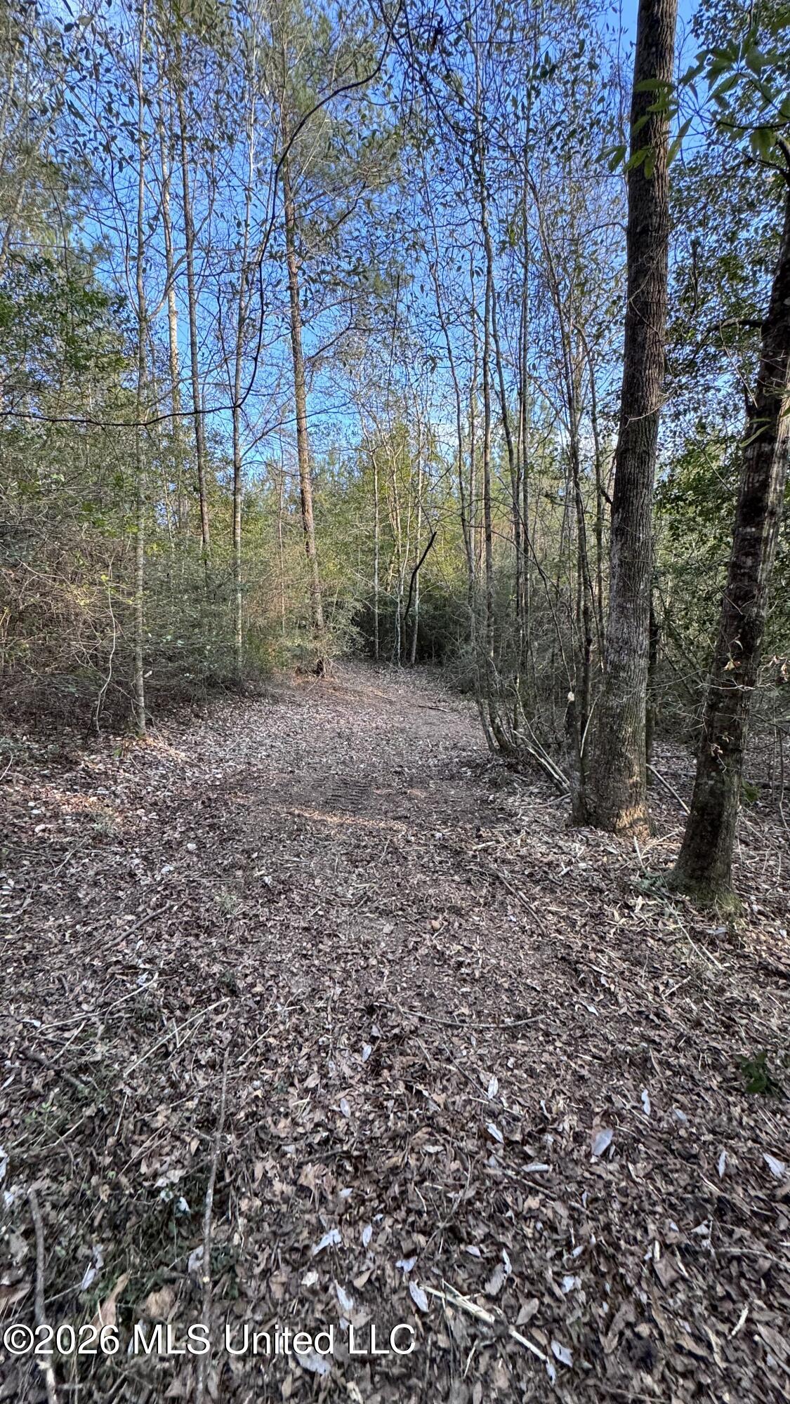 Mississippi 42 Property Photo 23