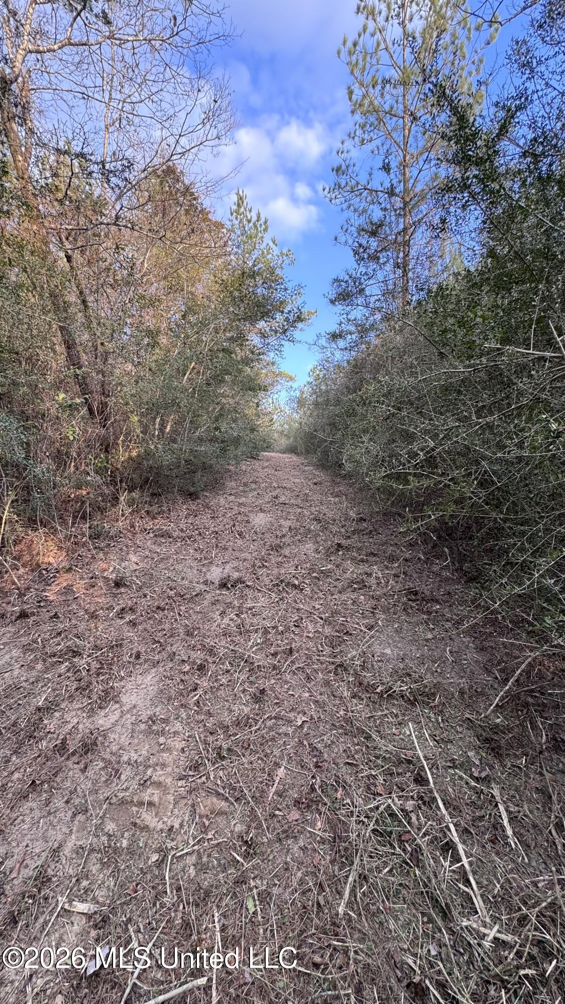 Mississippi 42 Property Photo 25