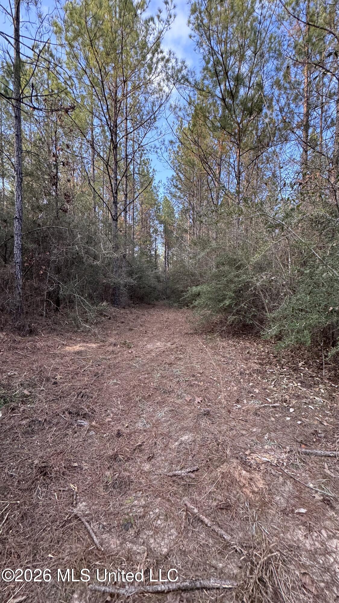 Mississippi 42 Property Photo 27