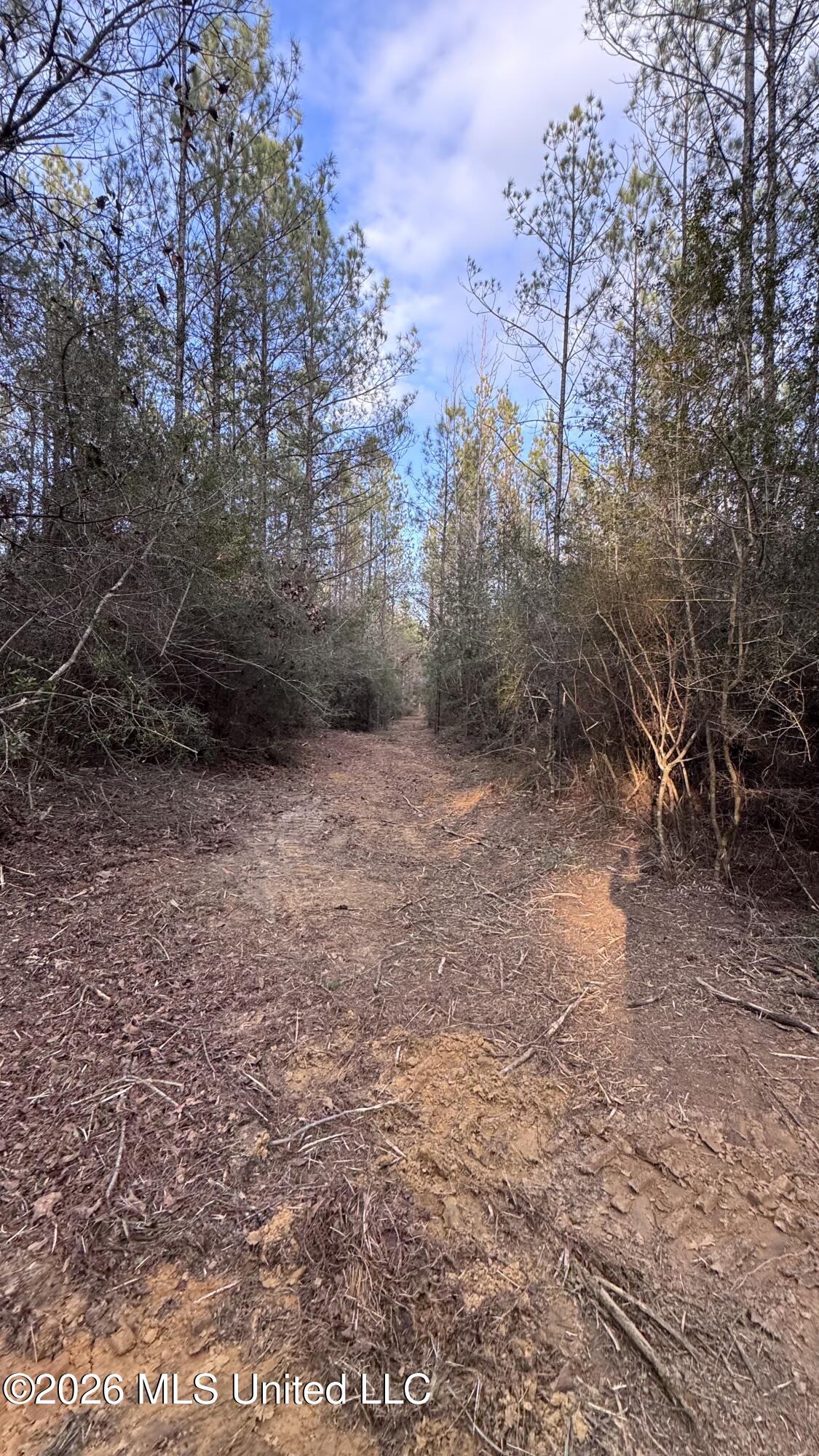 Mississippi 42 Property Photo 28