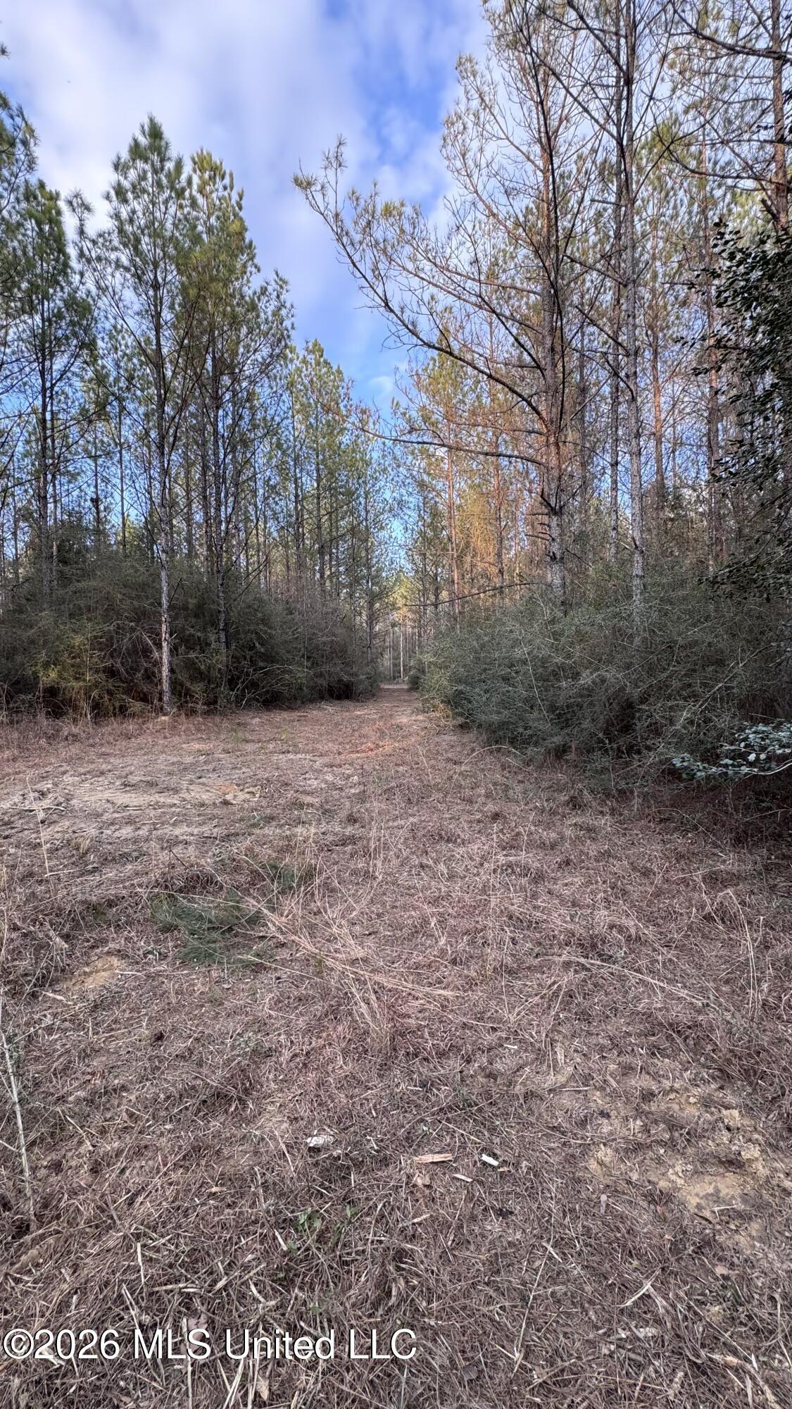 Mississippi 42 Property Photo 29