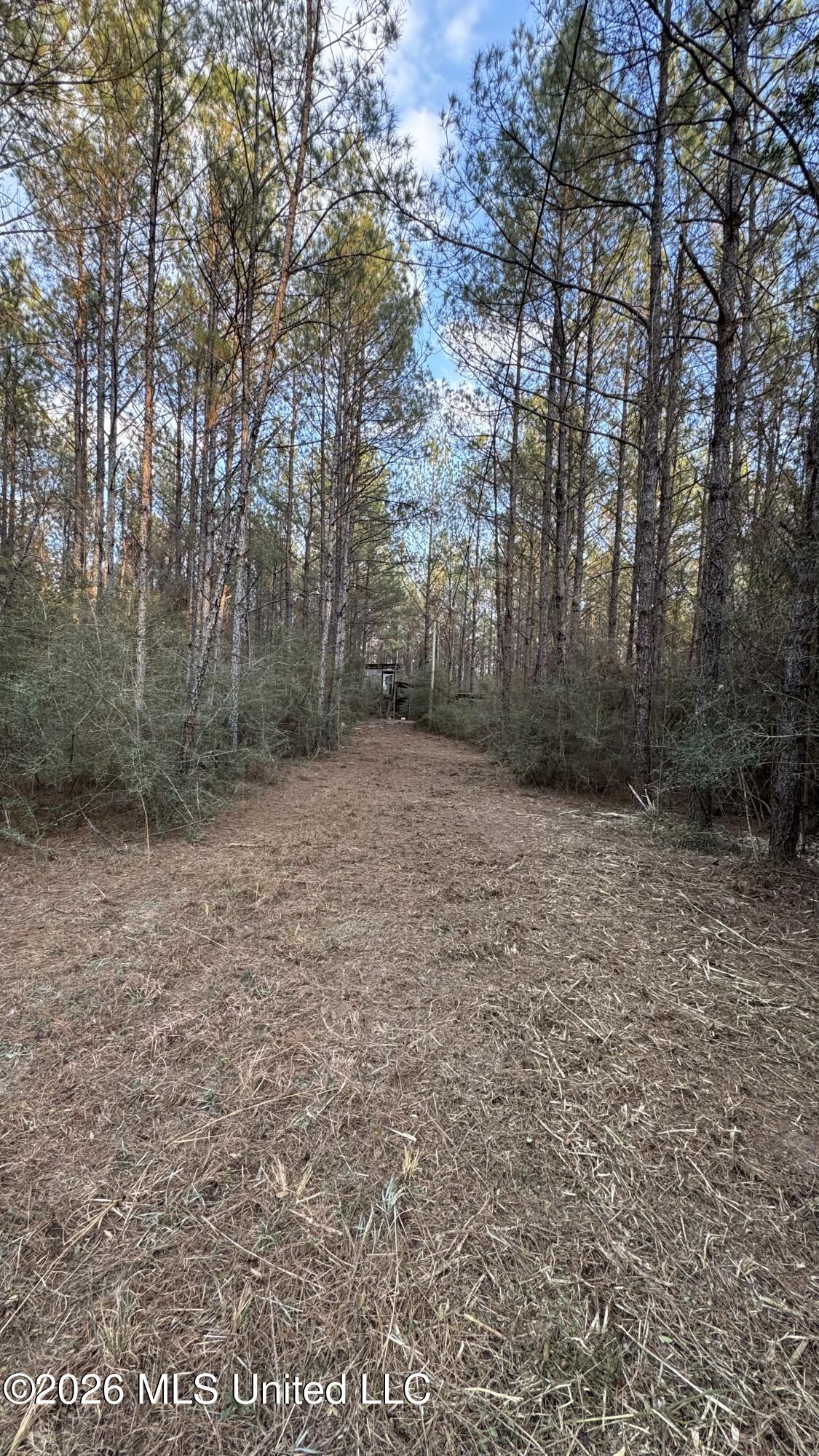 Mississippi 42 Property Photo 37