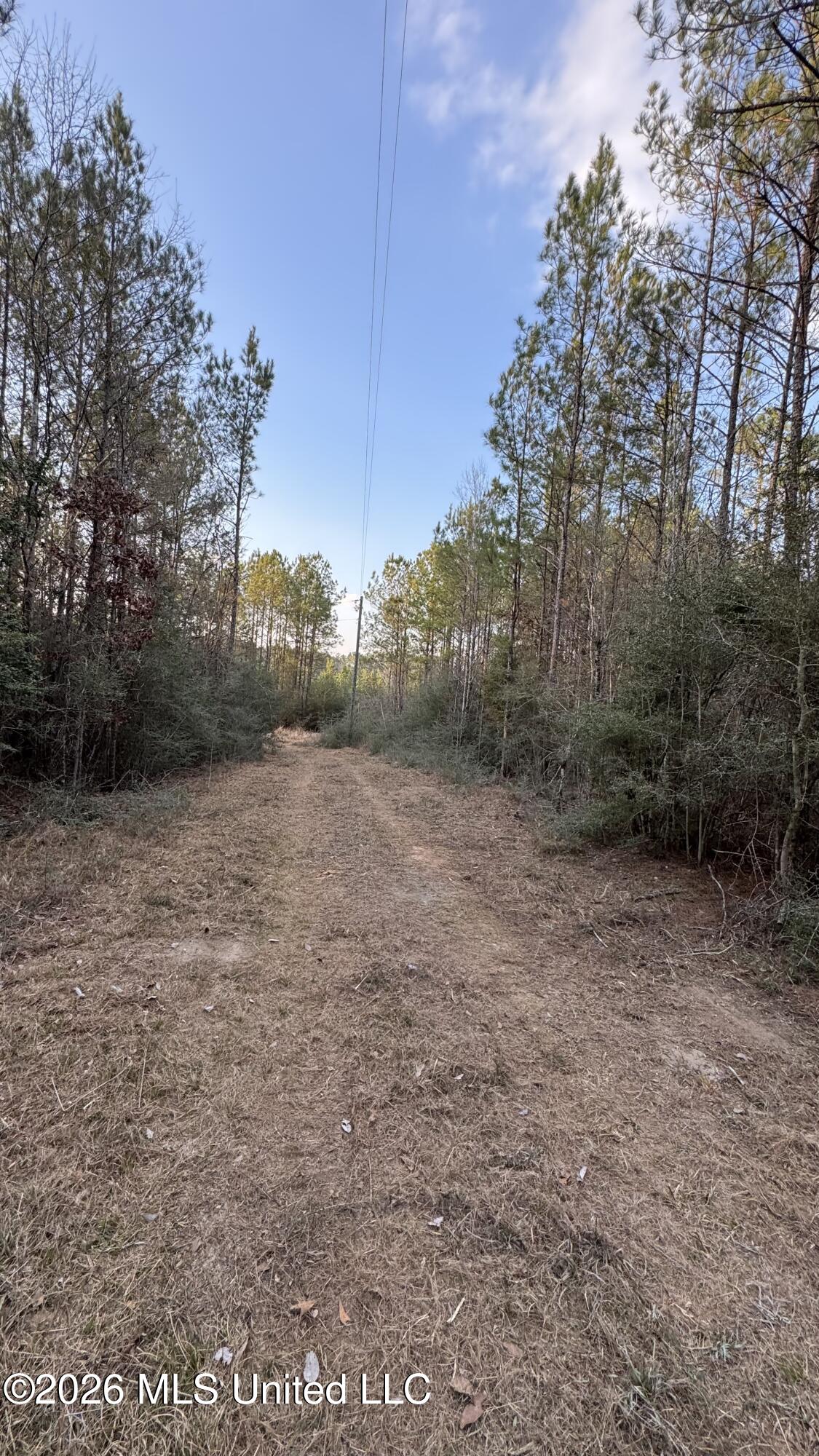 Mississippi 42 Property Photo 39