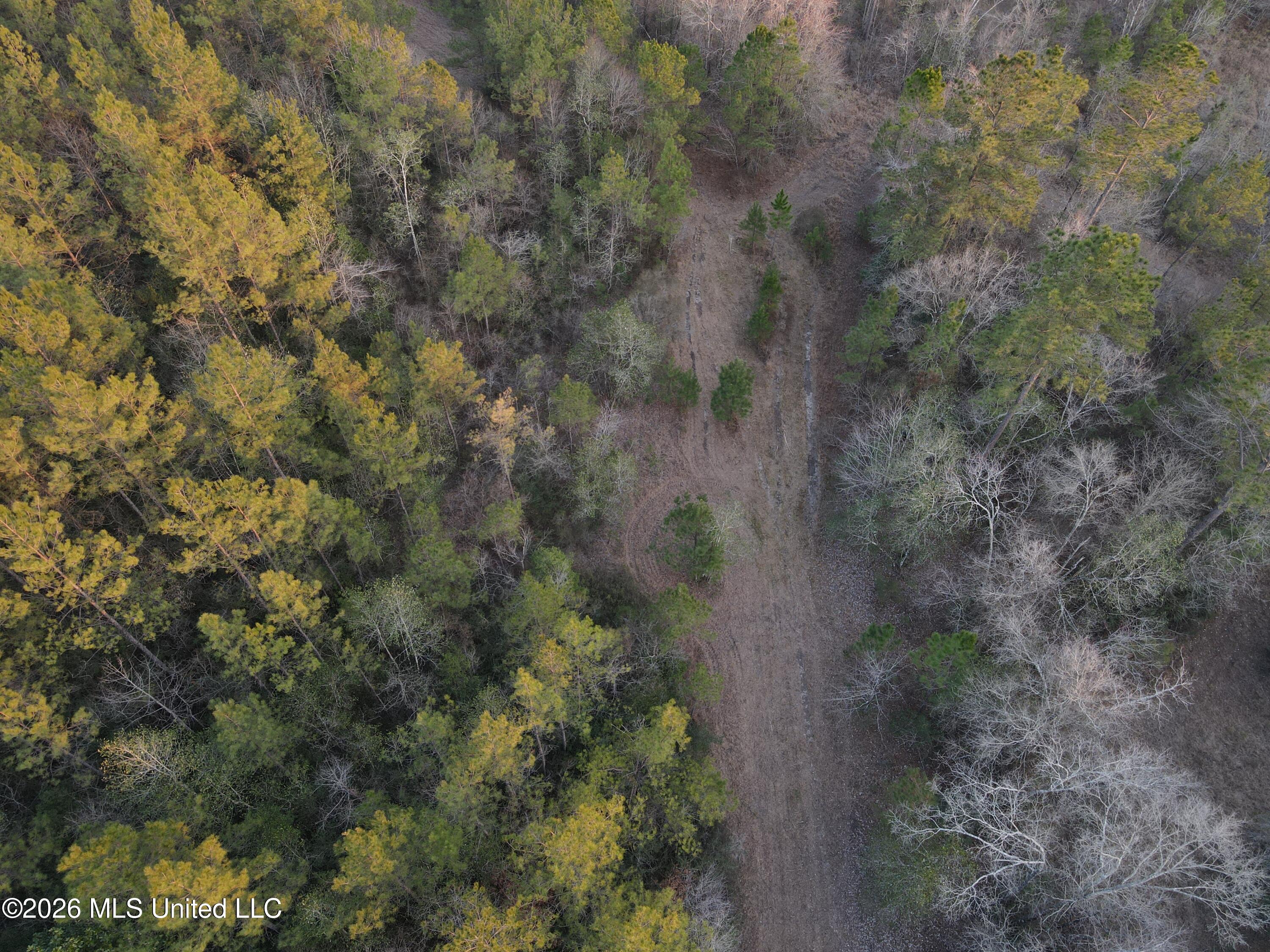 Mississippi 42 Property Photo 52
